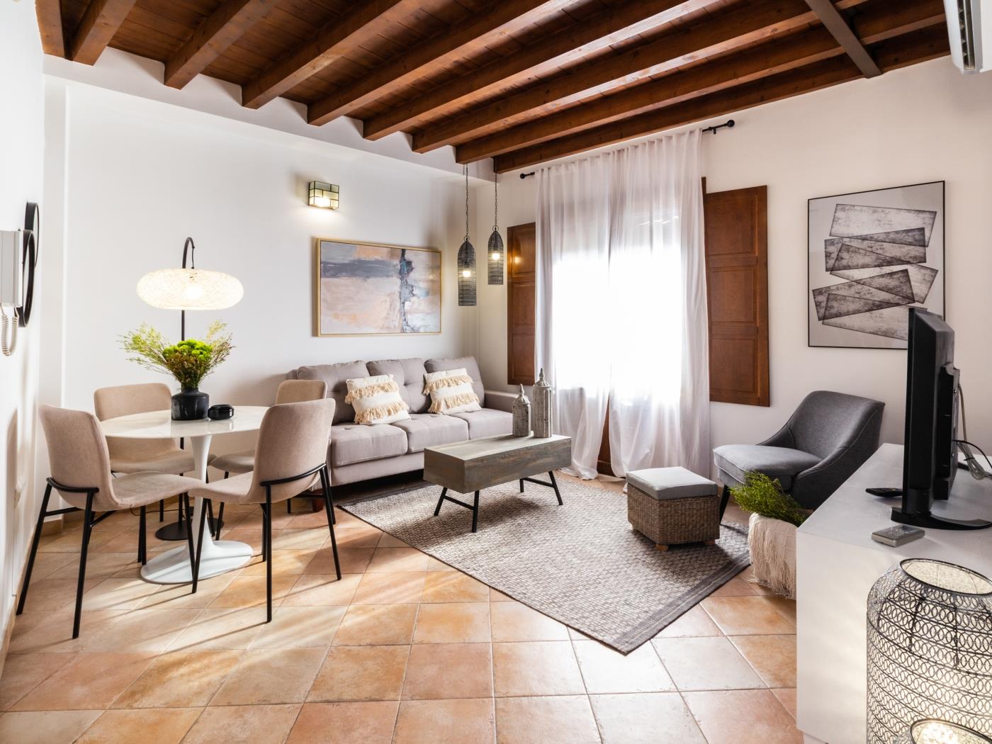 Fabuleux appartement dans le centre historique à Granada