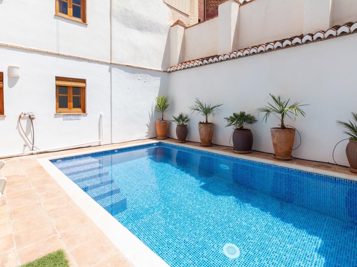 House with private pool and Andalusian style in Albuñuelas
