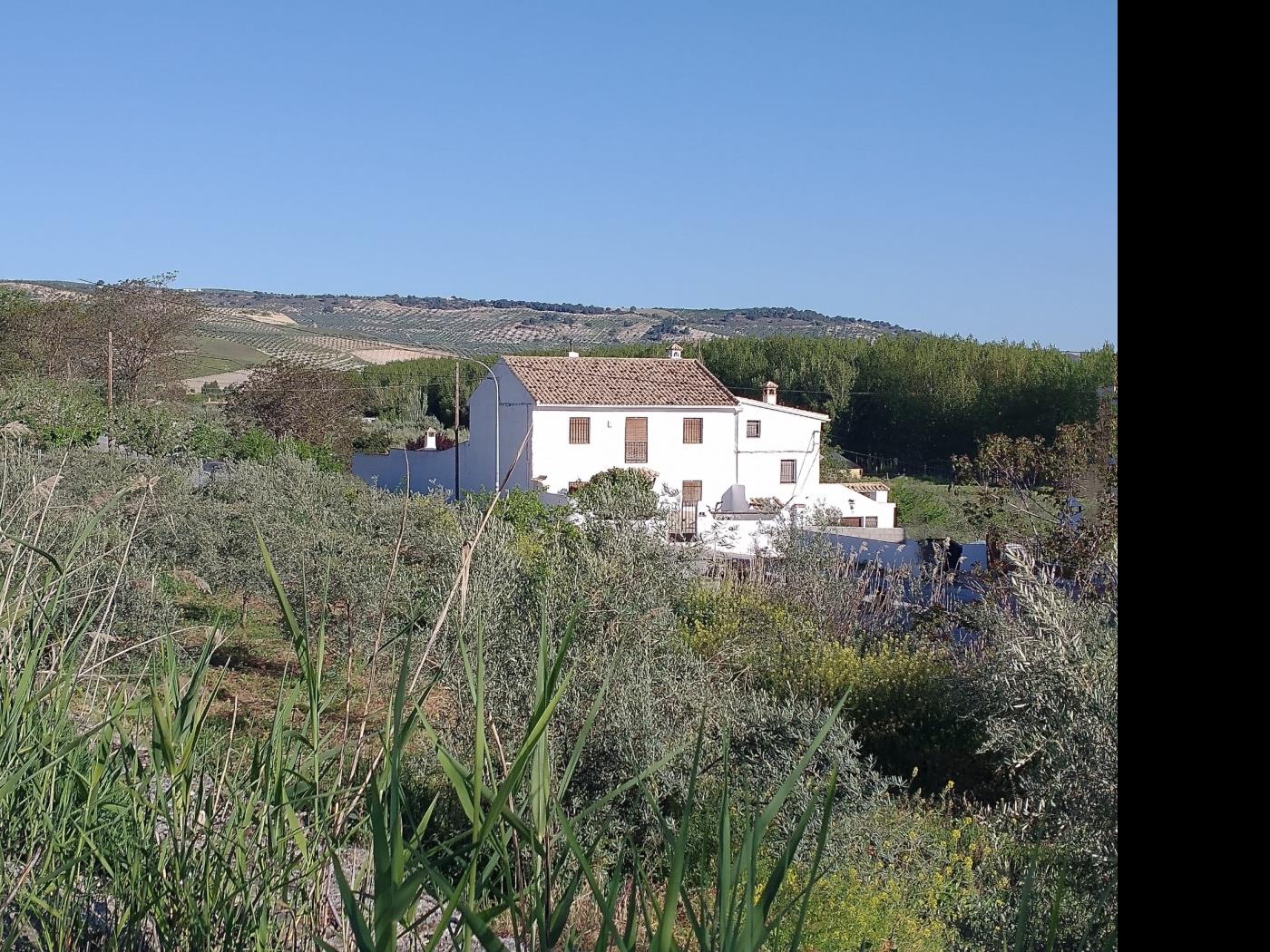 Magnificent country house with pool, garden in Santa Cruz de Comercio