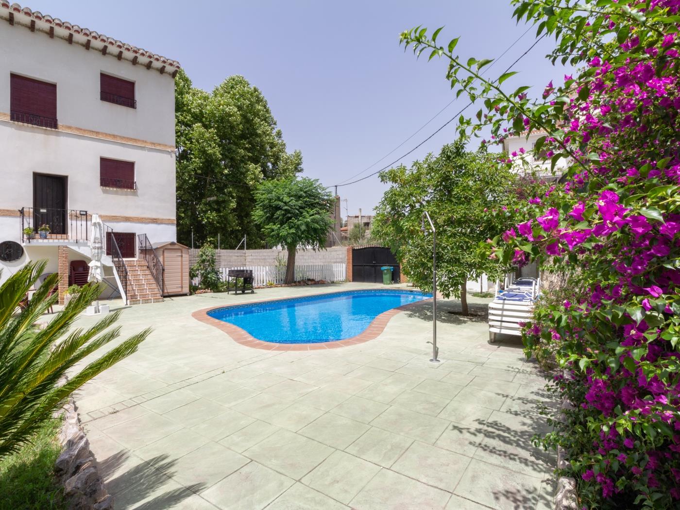 Complex of 3 apartments with swimming pool in Melegís