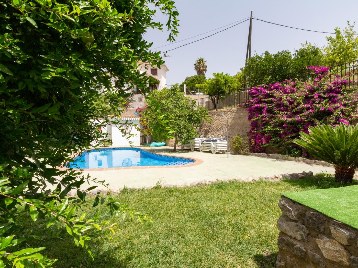 Complex of 3 apartments with swimming pool in Melegís