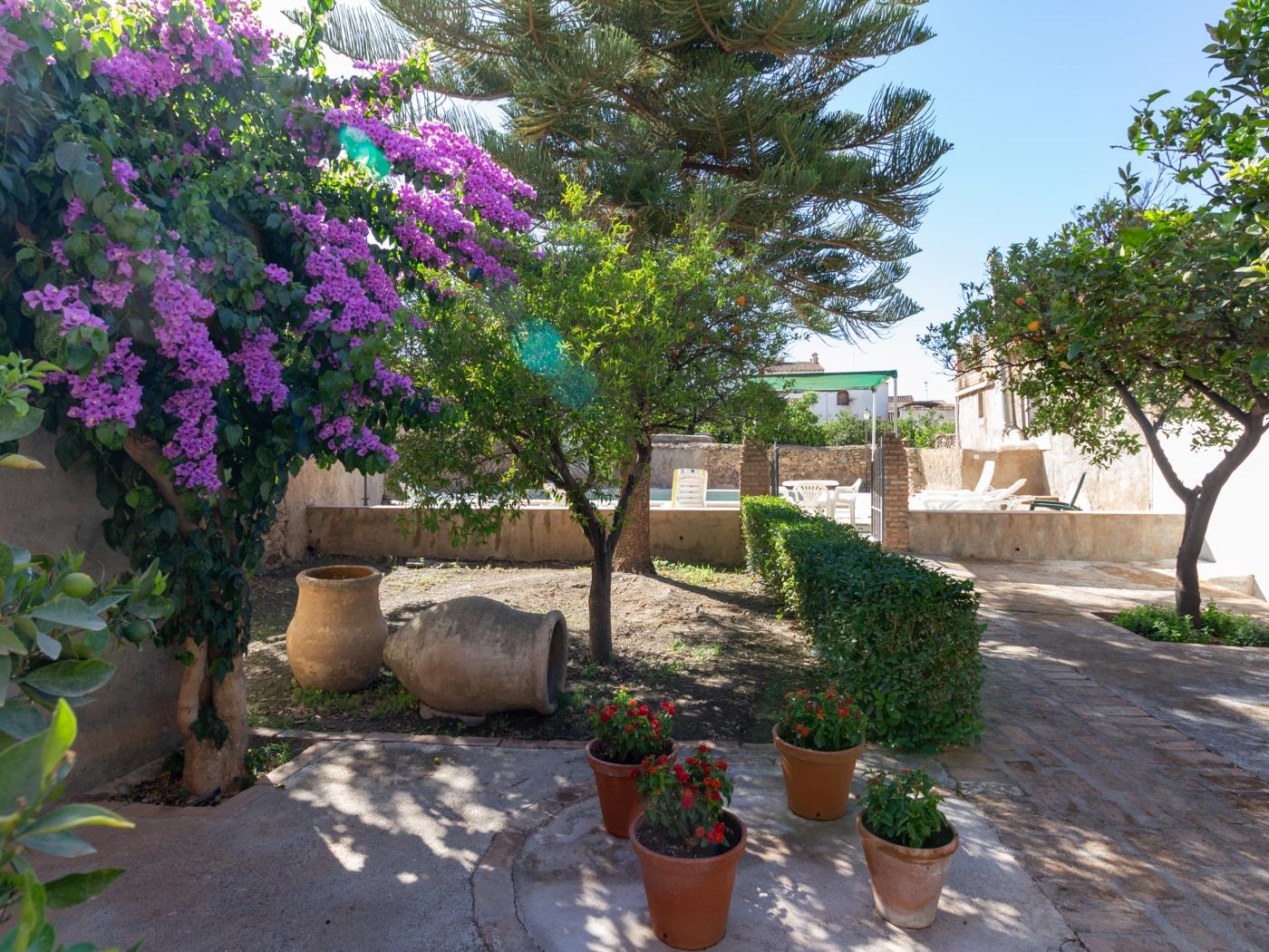 Casa con piscina, wifi y jardín en El Valle