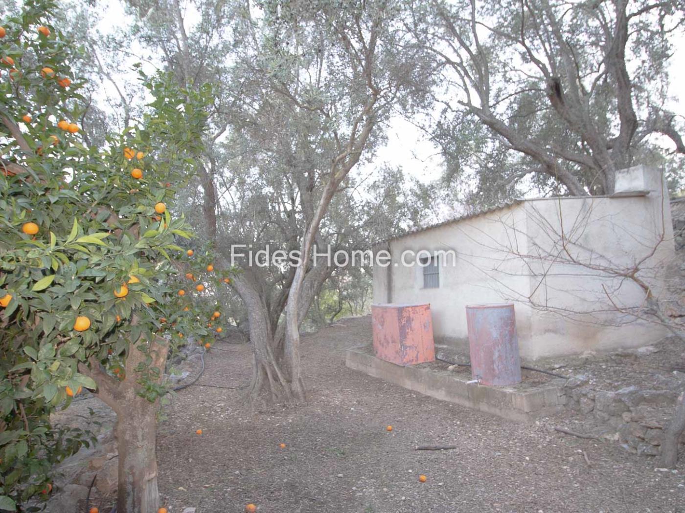Fantastic recreational estate with a small toolshed. in Pinos del Valle