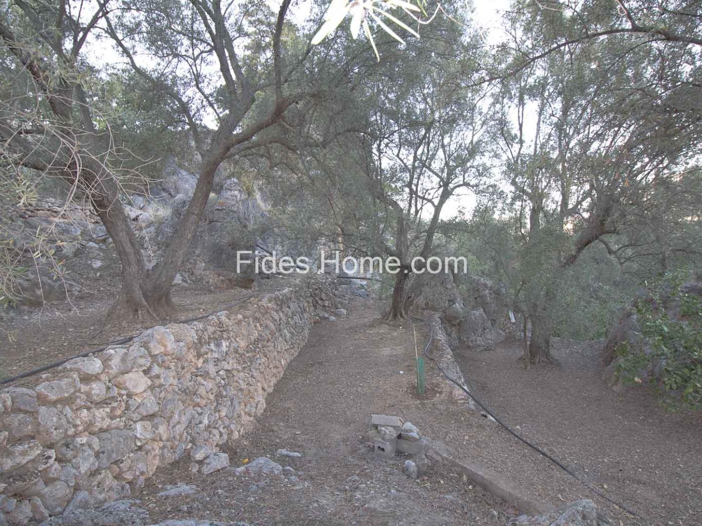 Fantastic recreational estate with a small toolshed. in Pinos del Valle
