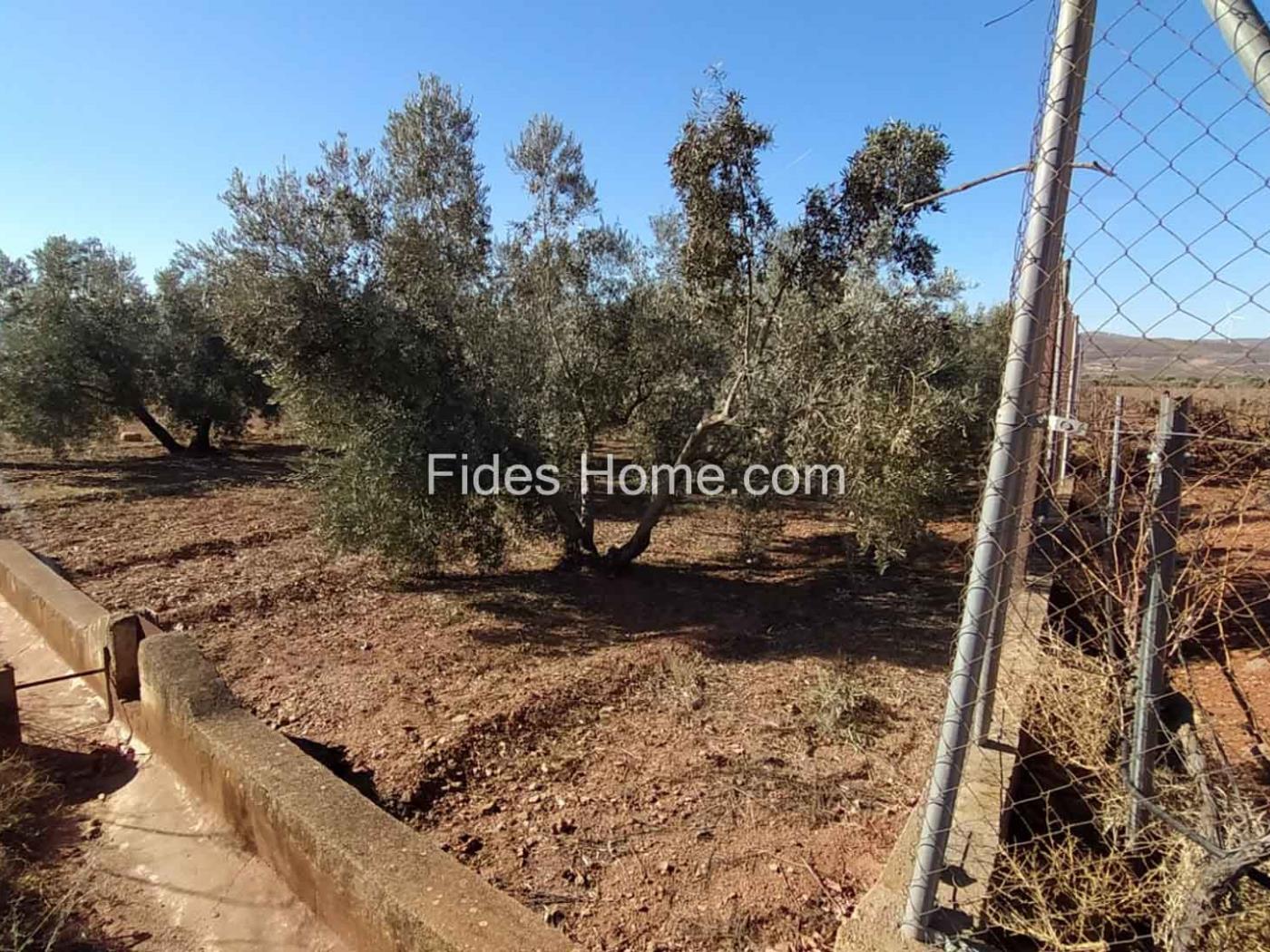Geweldige olijfboomgaard in Dúrcal. .en Cozvijar