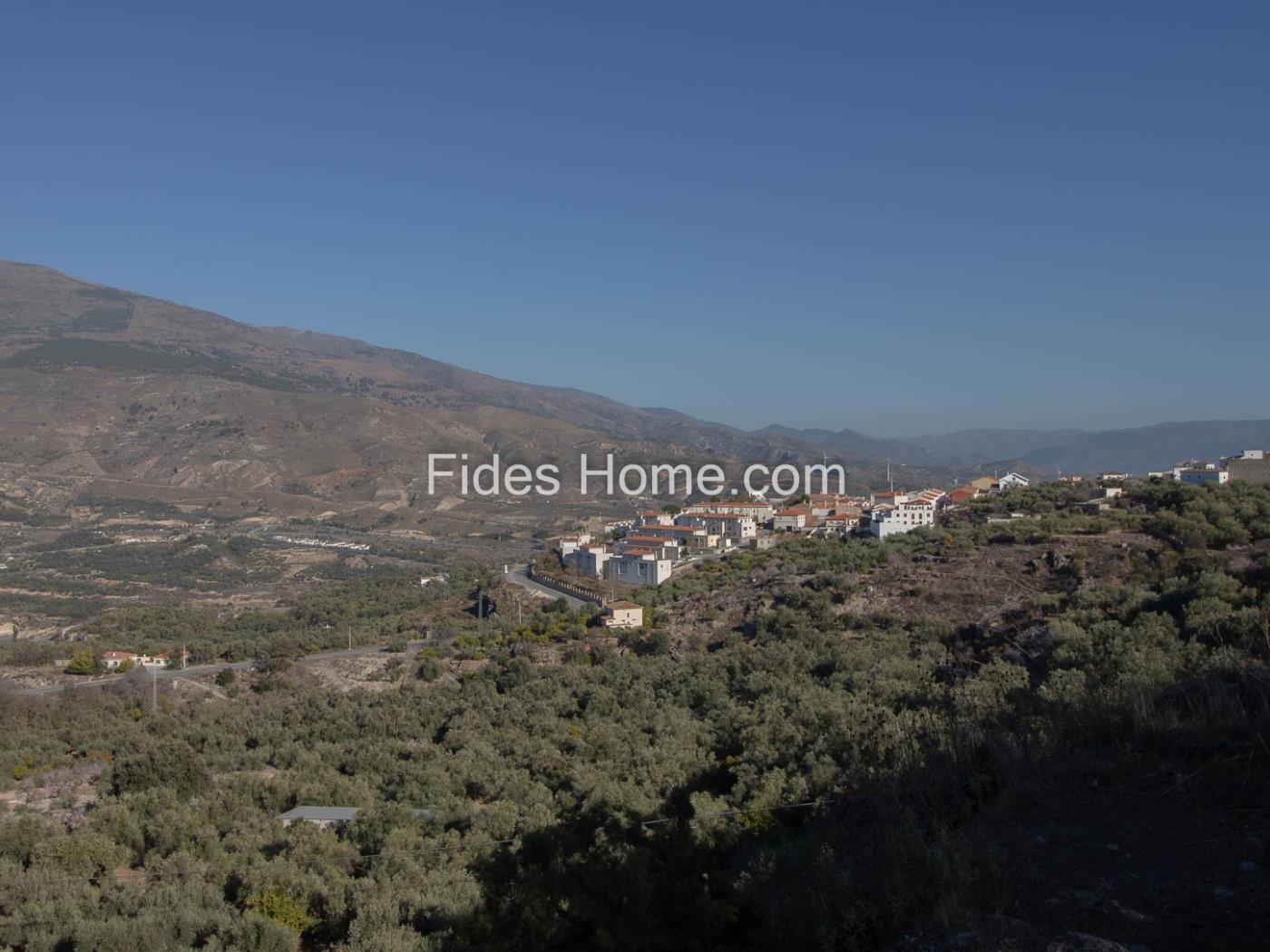 Finca de olivos y naranjos con buen acceso y mejores vistas en Pinos del Valle en Pinos del Valle
