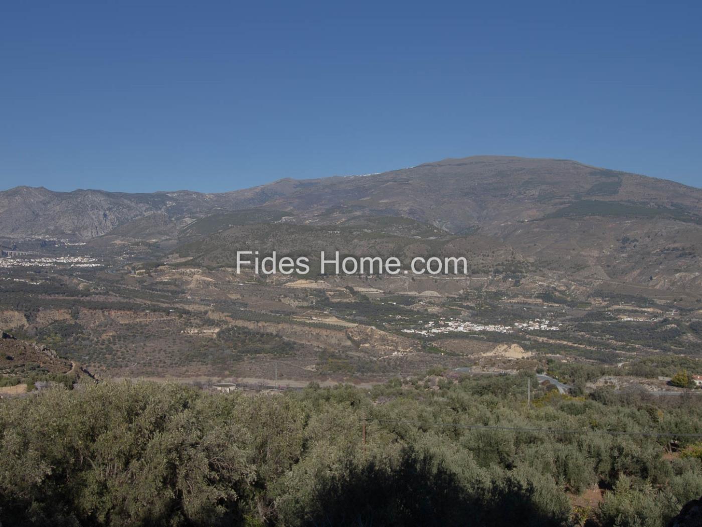 Olijf- en sinaasappelboomgaard met goede toegang en uitzicht. .en Pinos del Valle