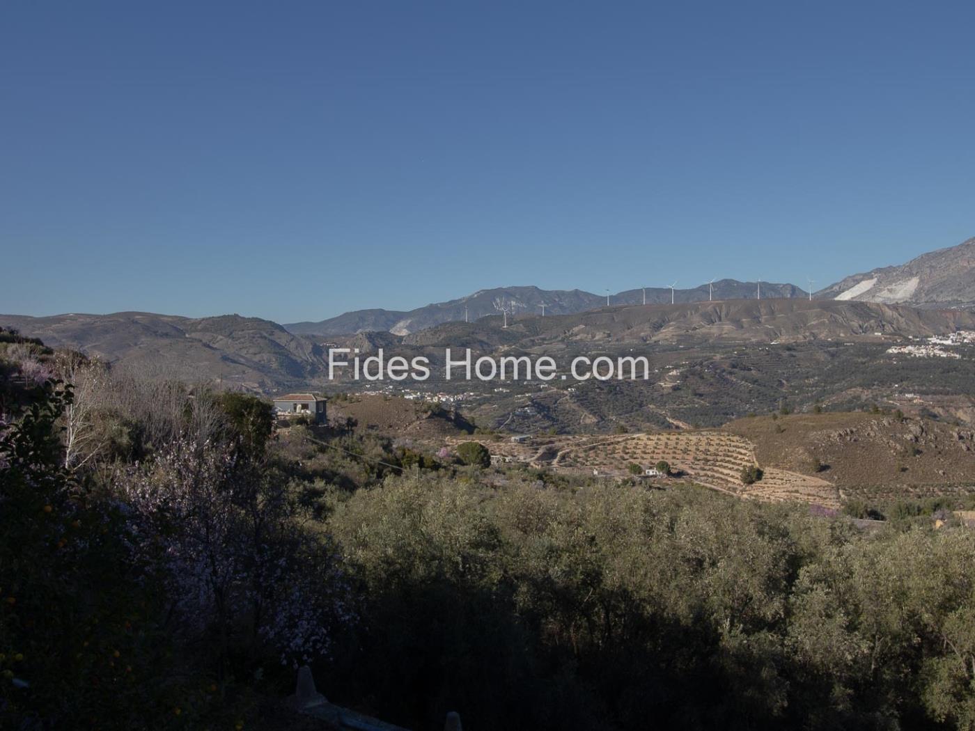 Domaine d'oliviers et d'orangers avec un bon accès et une vue imprenable à Pinos à Pinos del Valle