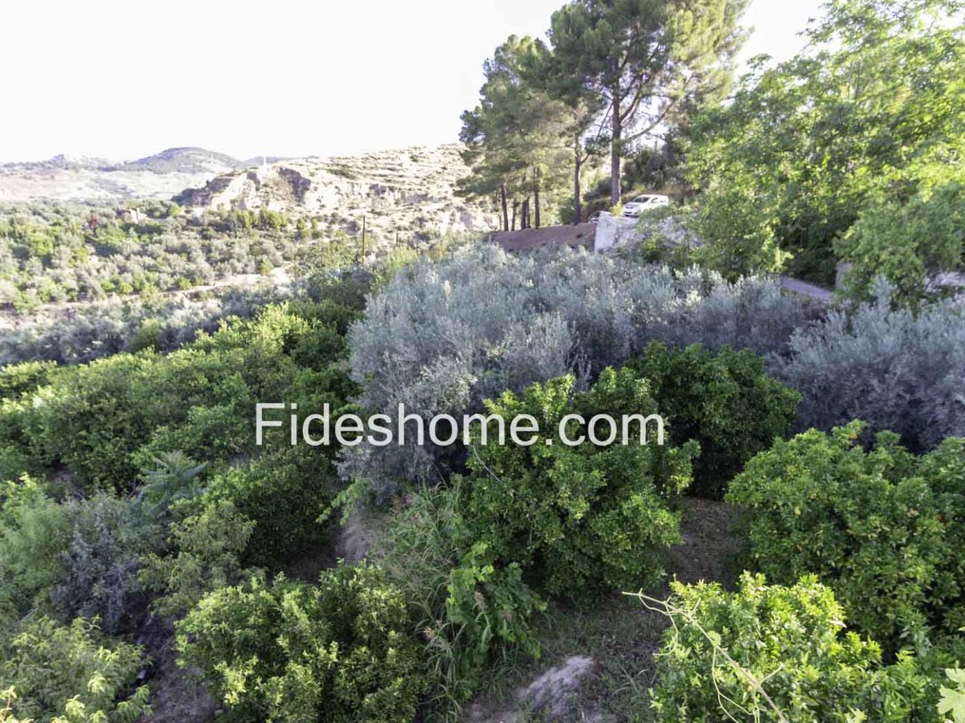 Cortijo y finca de olivos con magníficas vistas del Valle de Lecrín. en Melegís