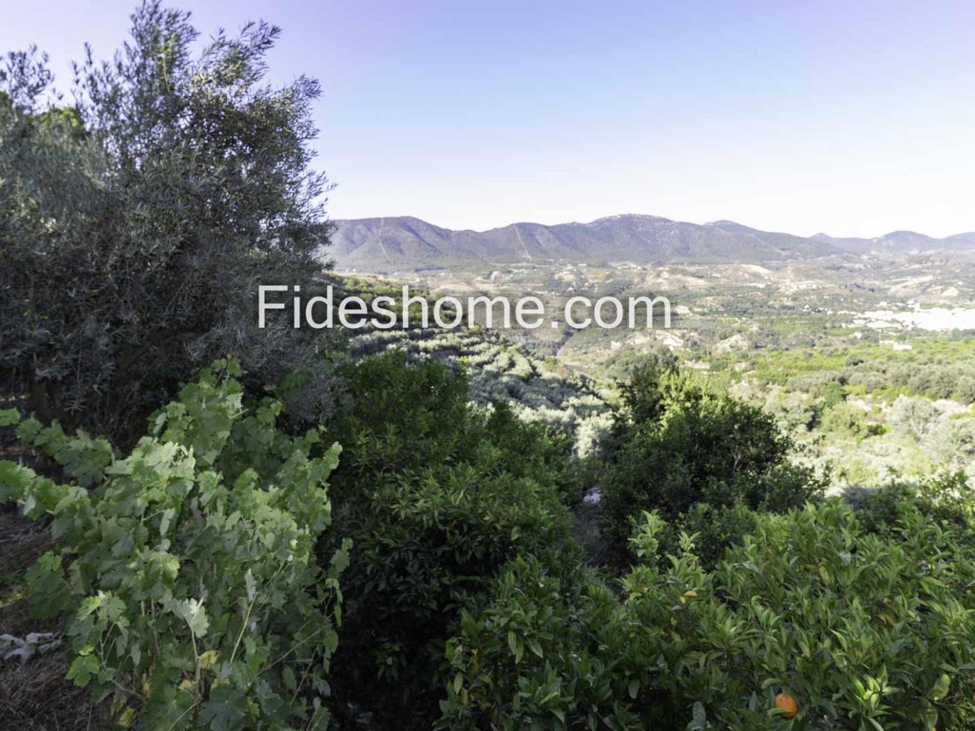Cortijo y finca de olivos con magníficas vistas del Valle de Lecrín. en Melegís