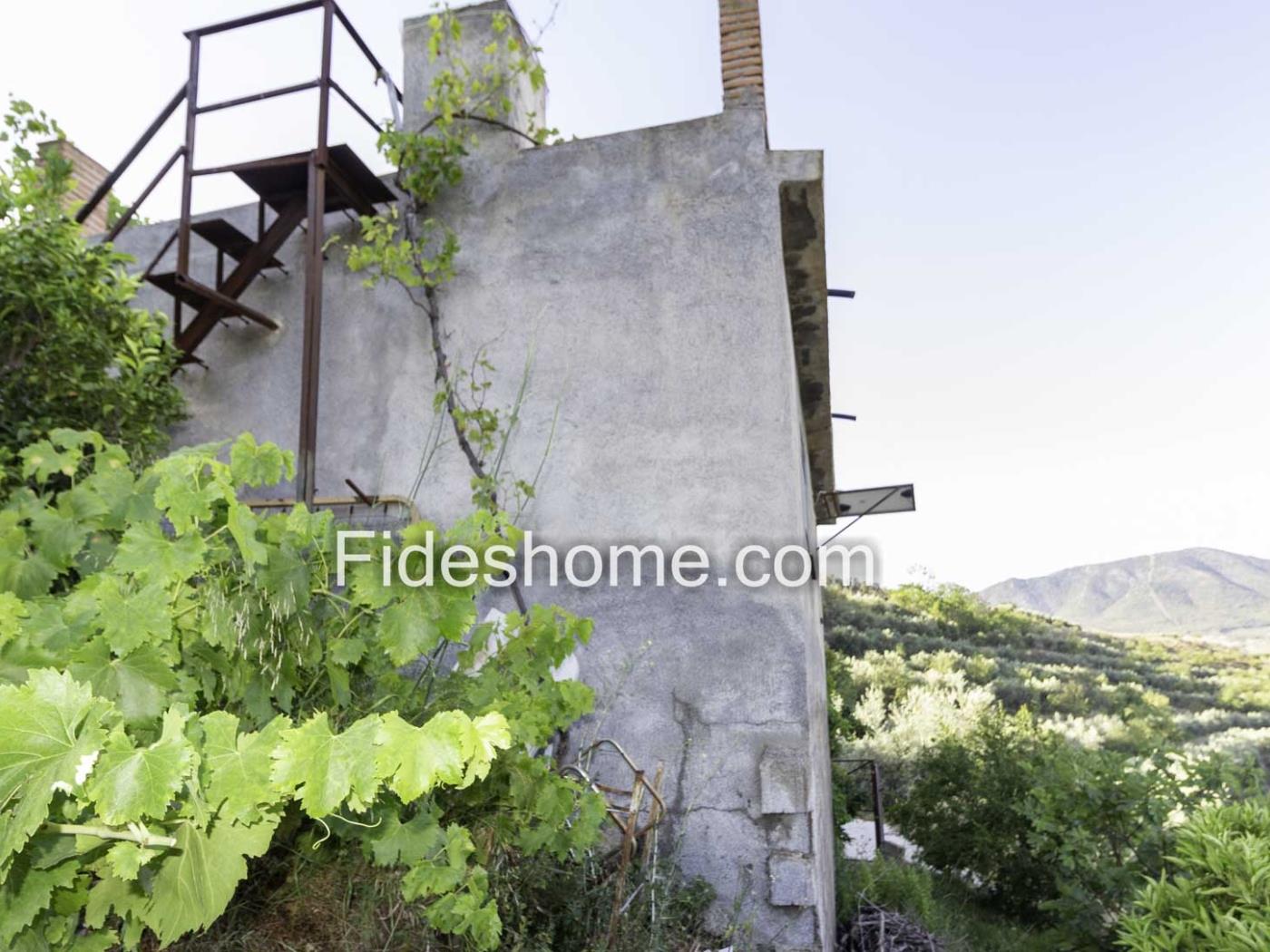Maison de campagne et oliveraie avec des vues magnifiques sur vallée de Lecrín à Melegís