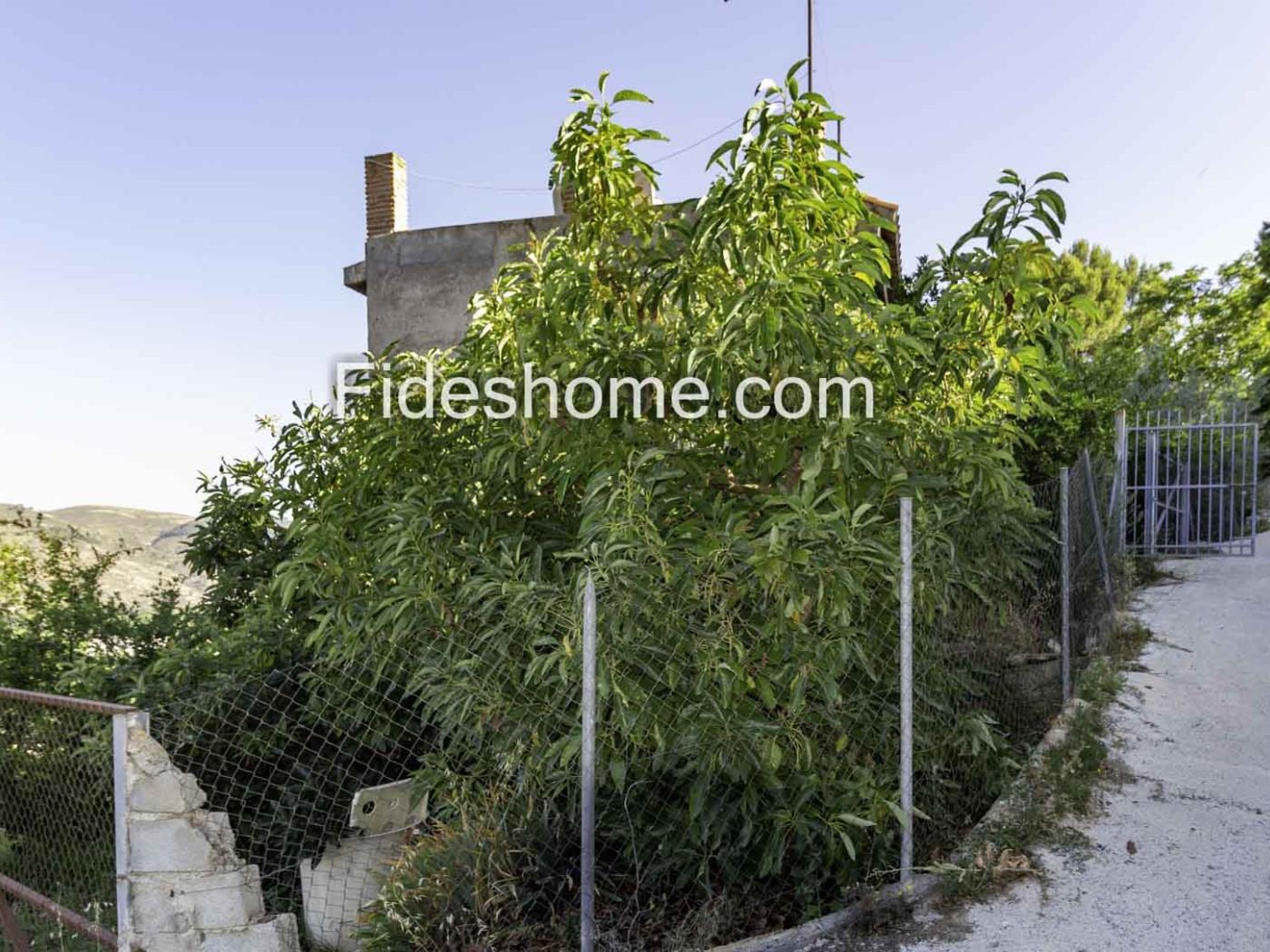 Country house and olive grove with magnificent views of the Lecrín Valley. in Melegís