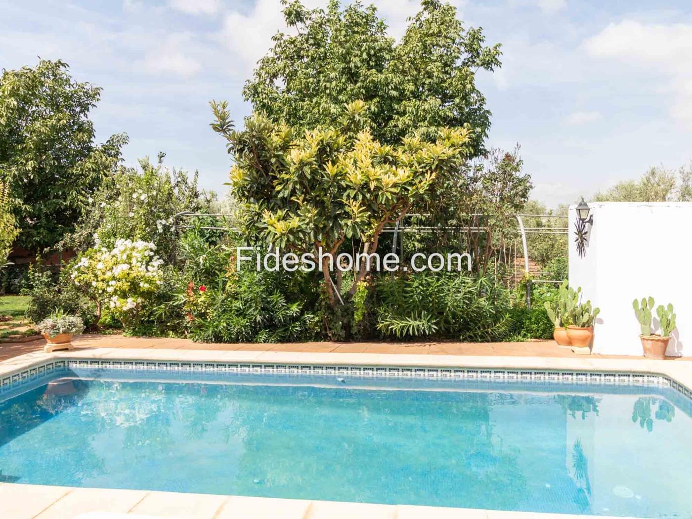 Beautiful country house with 4 bedrooms, pool, and olive grove in Dúrcal. in Dúrcal