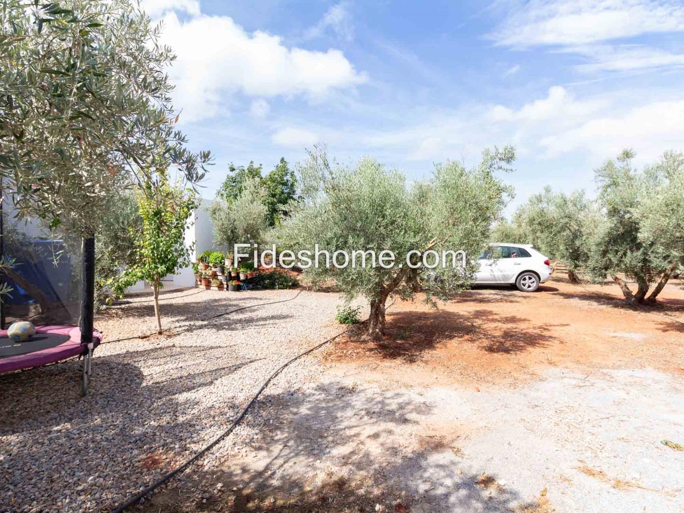 Beautiful country house with 4 bedrooms, pool, and olive grove in Dúrcal. in Dúrcal