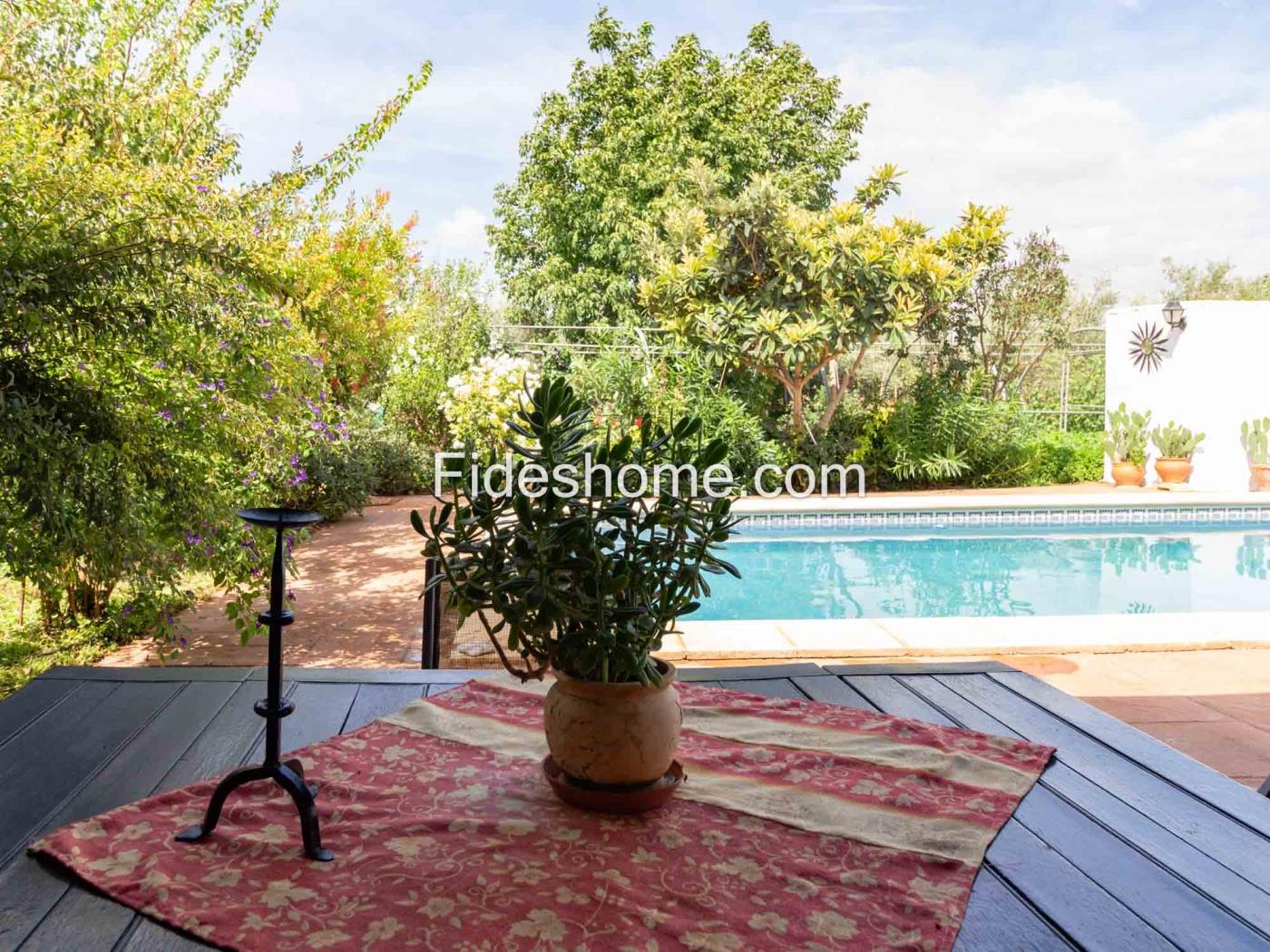 Beautiful country house with 4 bedrooms, pool, and olive grove in Dúrcal. in Dúrcal