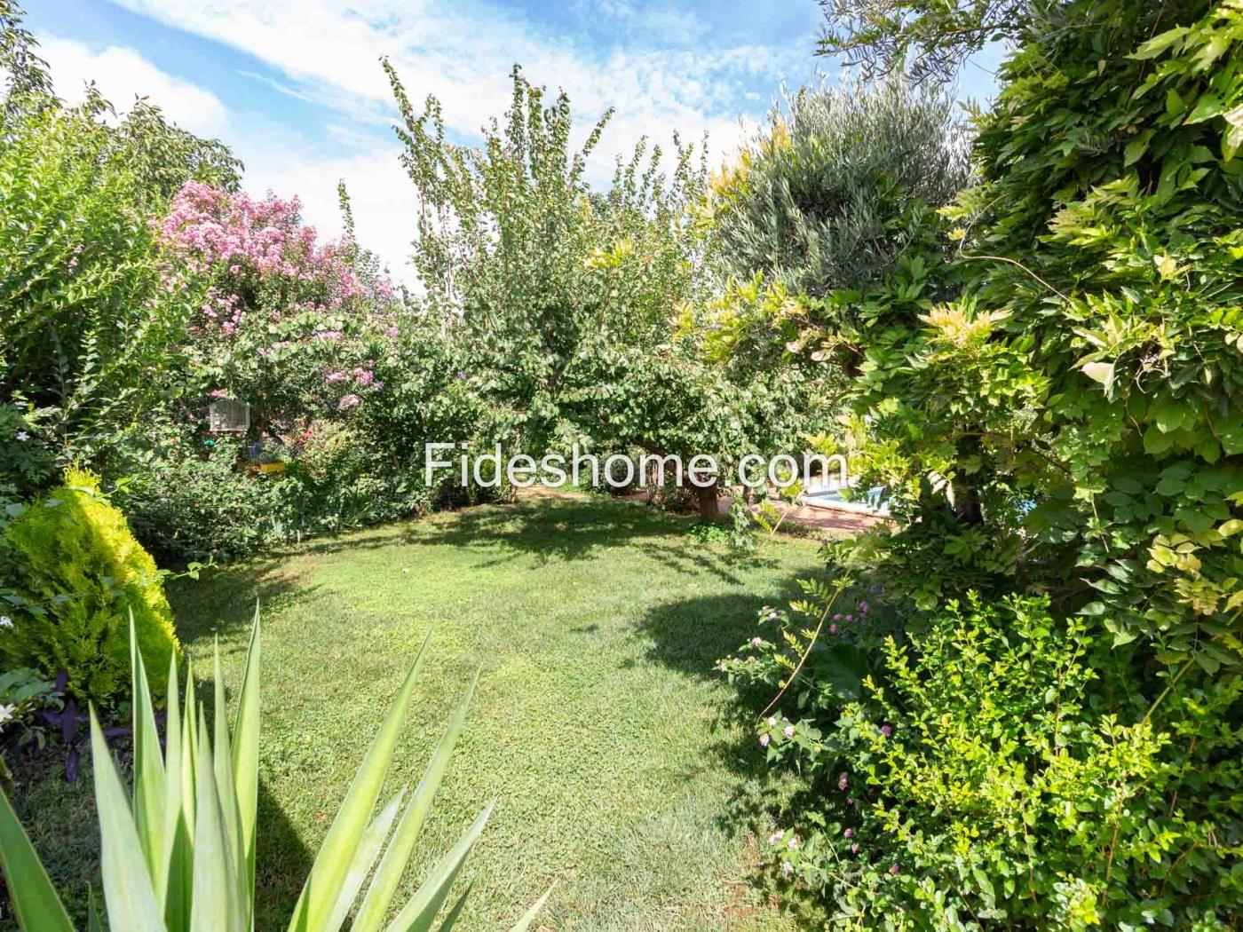Beautiful country house with 4 bedrooms, pool, and olive grove in Dúrcal. in Dúrcal