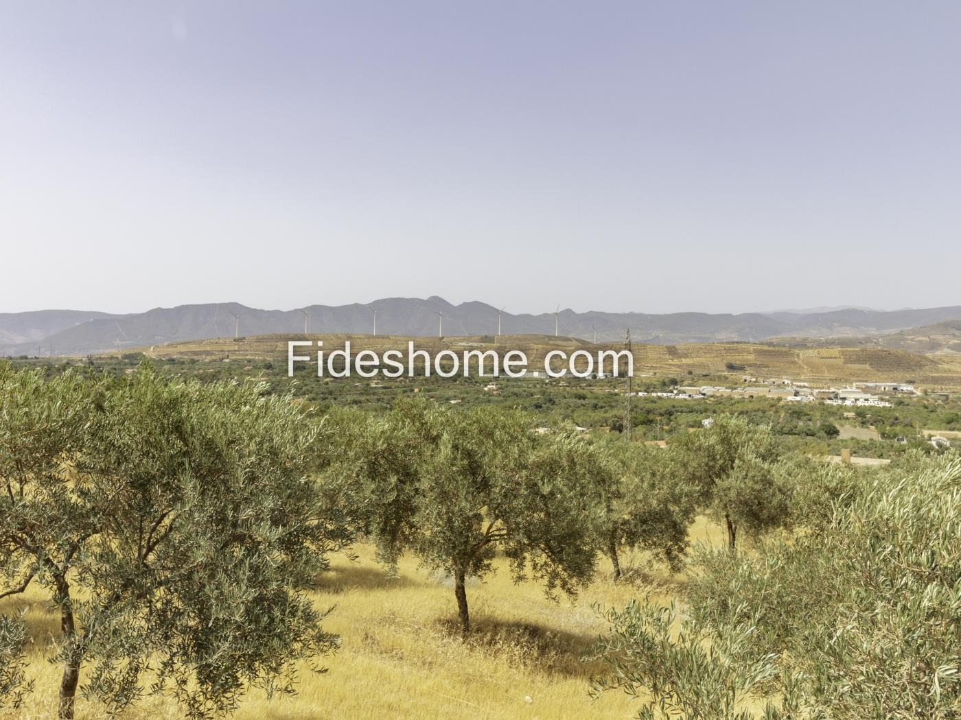 Country house with olive orchard and magnificent views in Nigüelas in Nigüelas