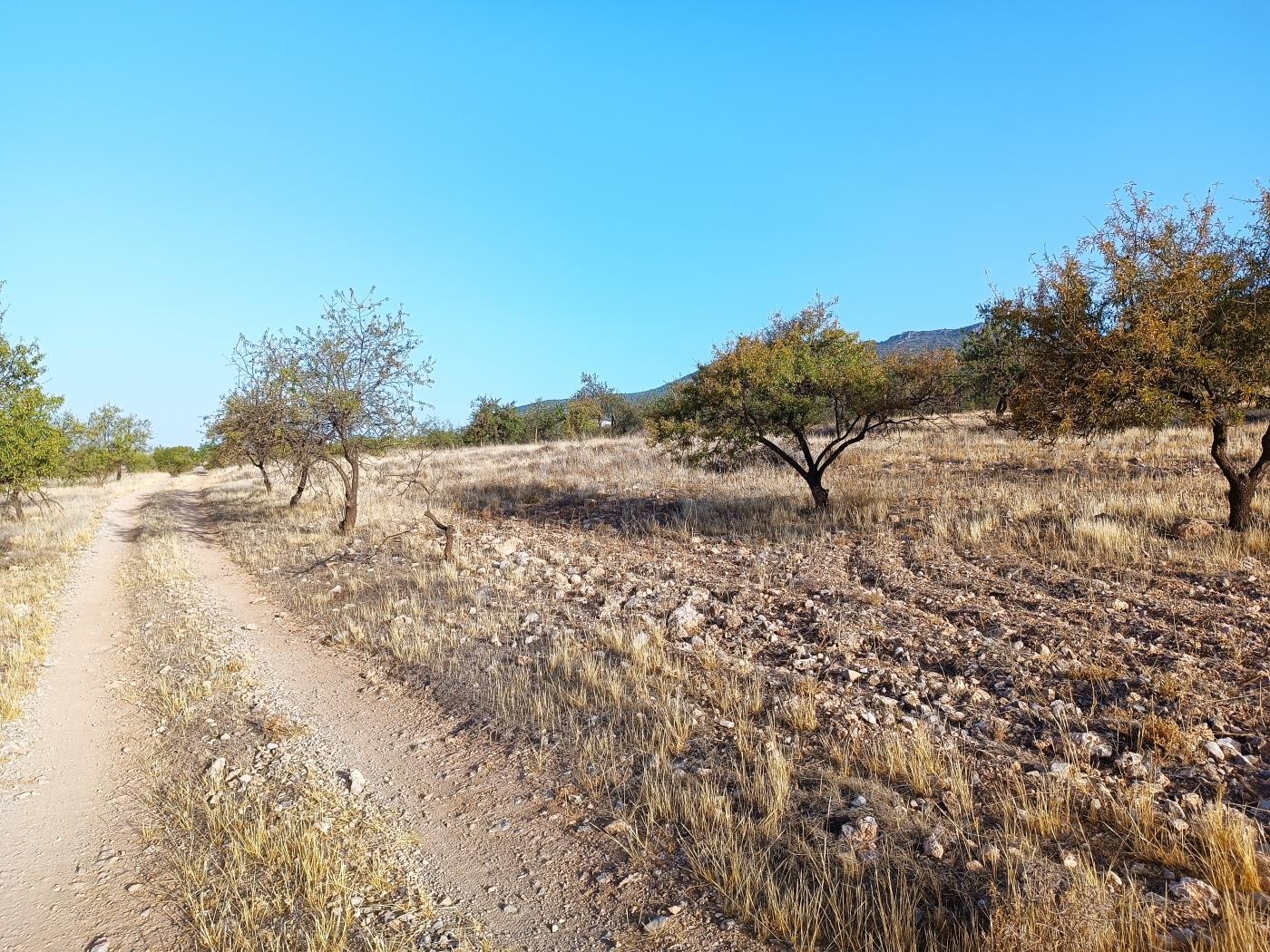 'Irrigated agricultural estate with an 8000 m2 communal well in Dúrcal. in Dúrcal