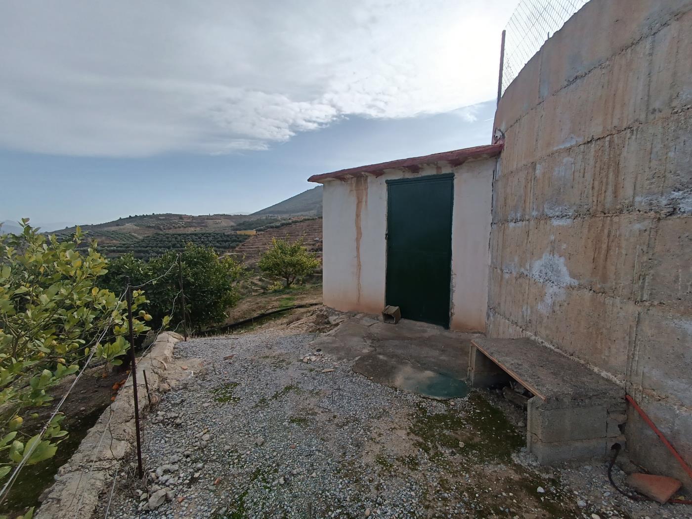 Orange grove with a small toolshed in Restábal