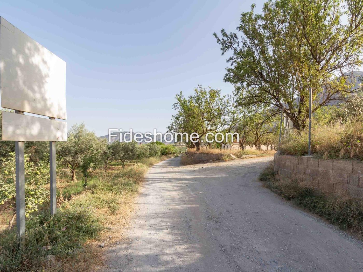 Finca de recreo en la Vega de Nigüelas en Nigüelas