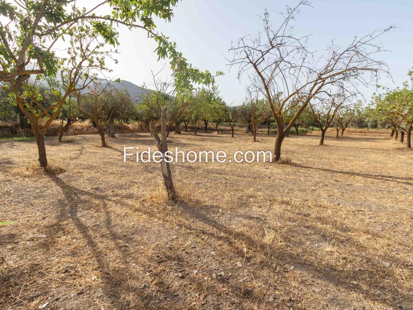 Finca de recreo en la Vega de Nigüelas en Nigüelas