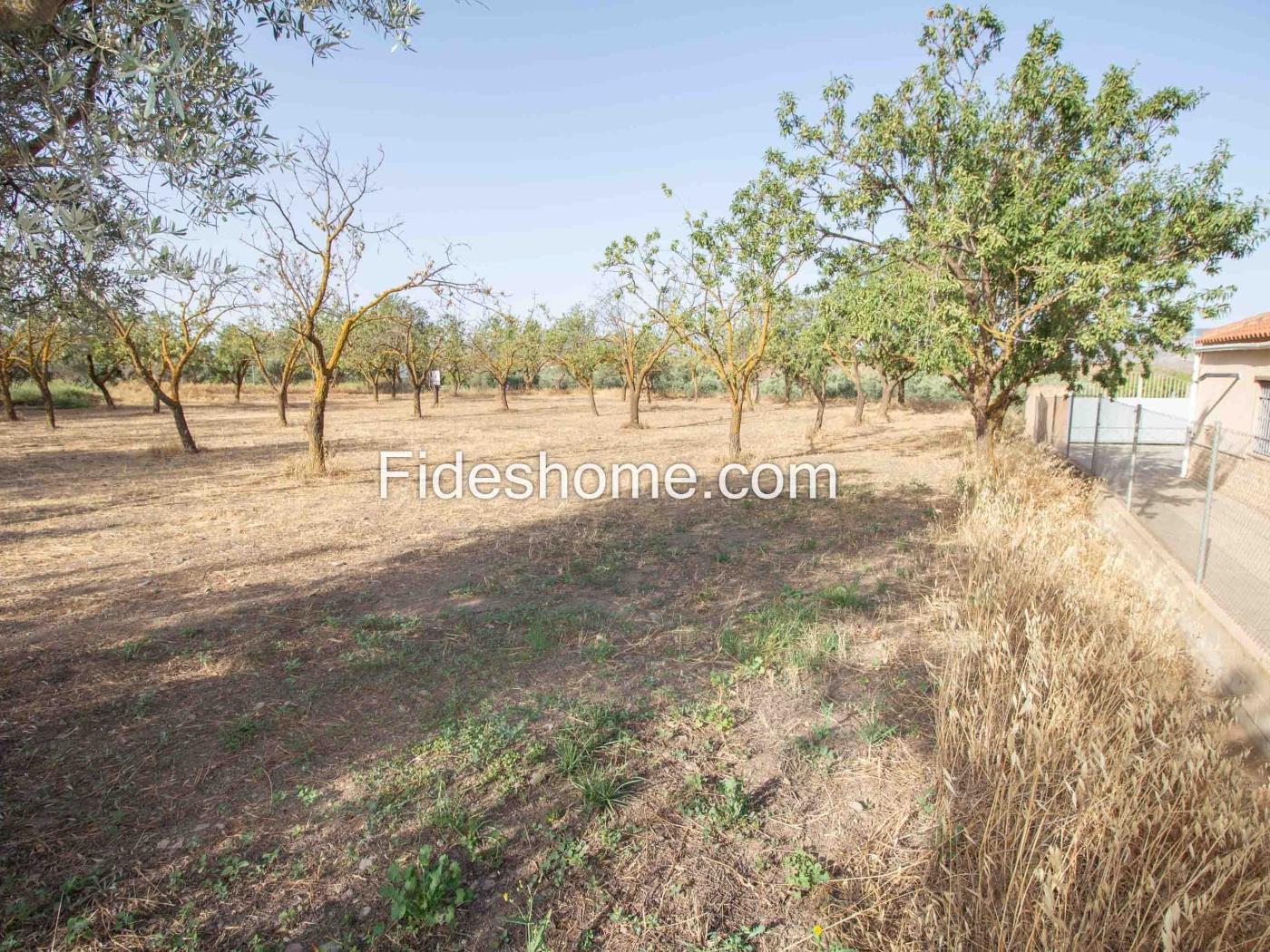 Finca de recreo en la Vega de Nigüelas en Nigüelas