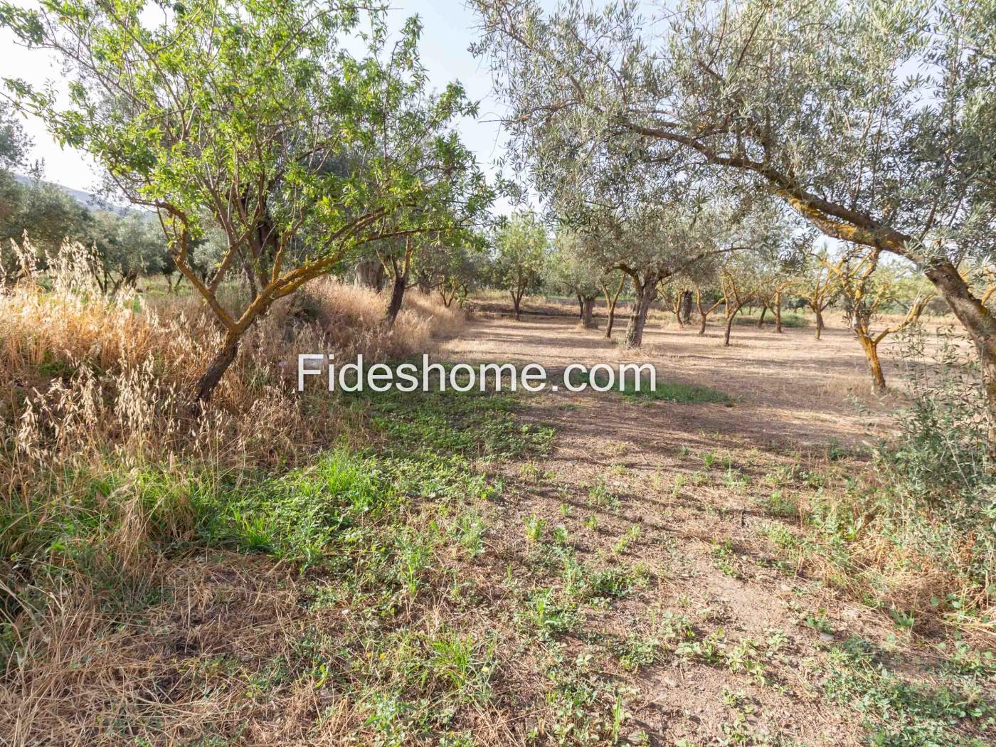 Finca de recreo en la Vega de Nigüelas en Nigüelas