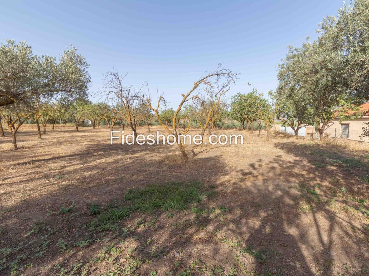 Finca de recreo en la Vega de Nigüelas en Nigüelas