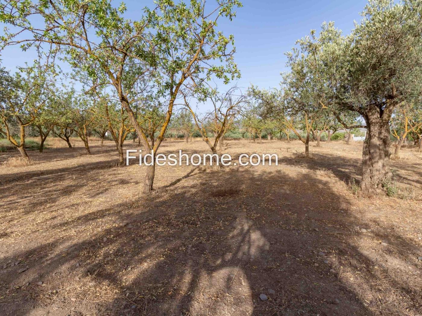 Finca de recreo en la Vega de Nigüelas en Nigüelas