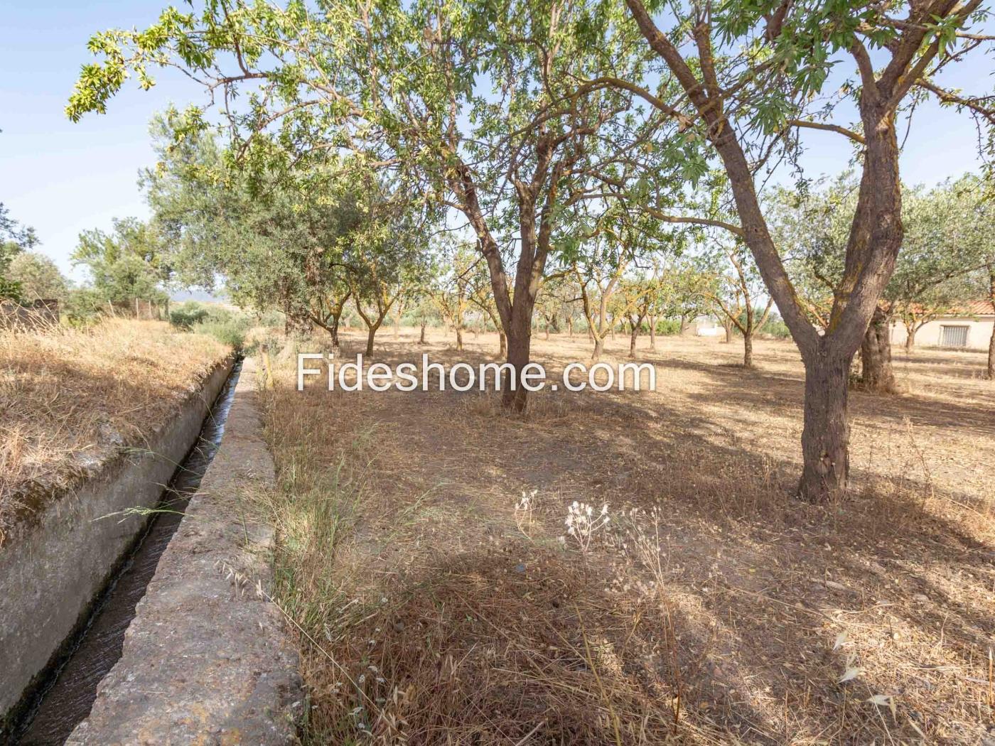 Finca de recreo en la Vega de Nigüelas en Nigüelas