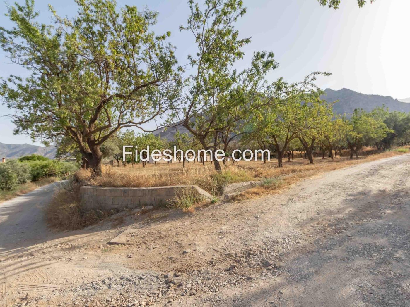 Finca de recreo en la Vega de Nigüelas en Nigüelas