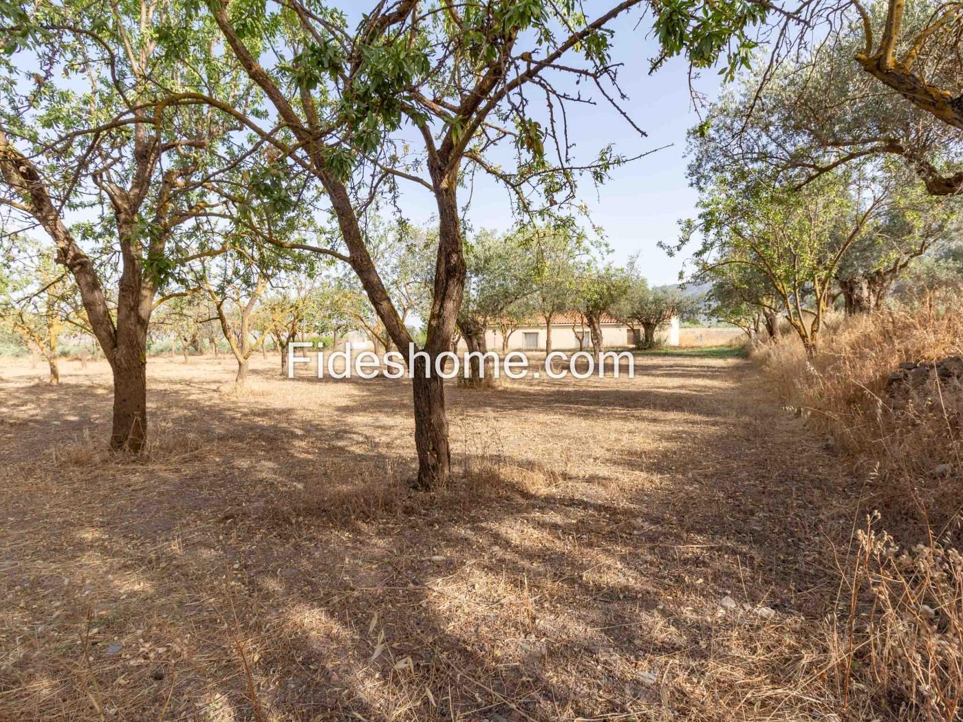 Finca de recreo en la Vega de Nigüelas en Nigüelas