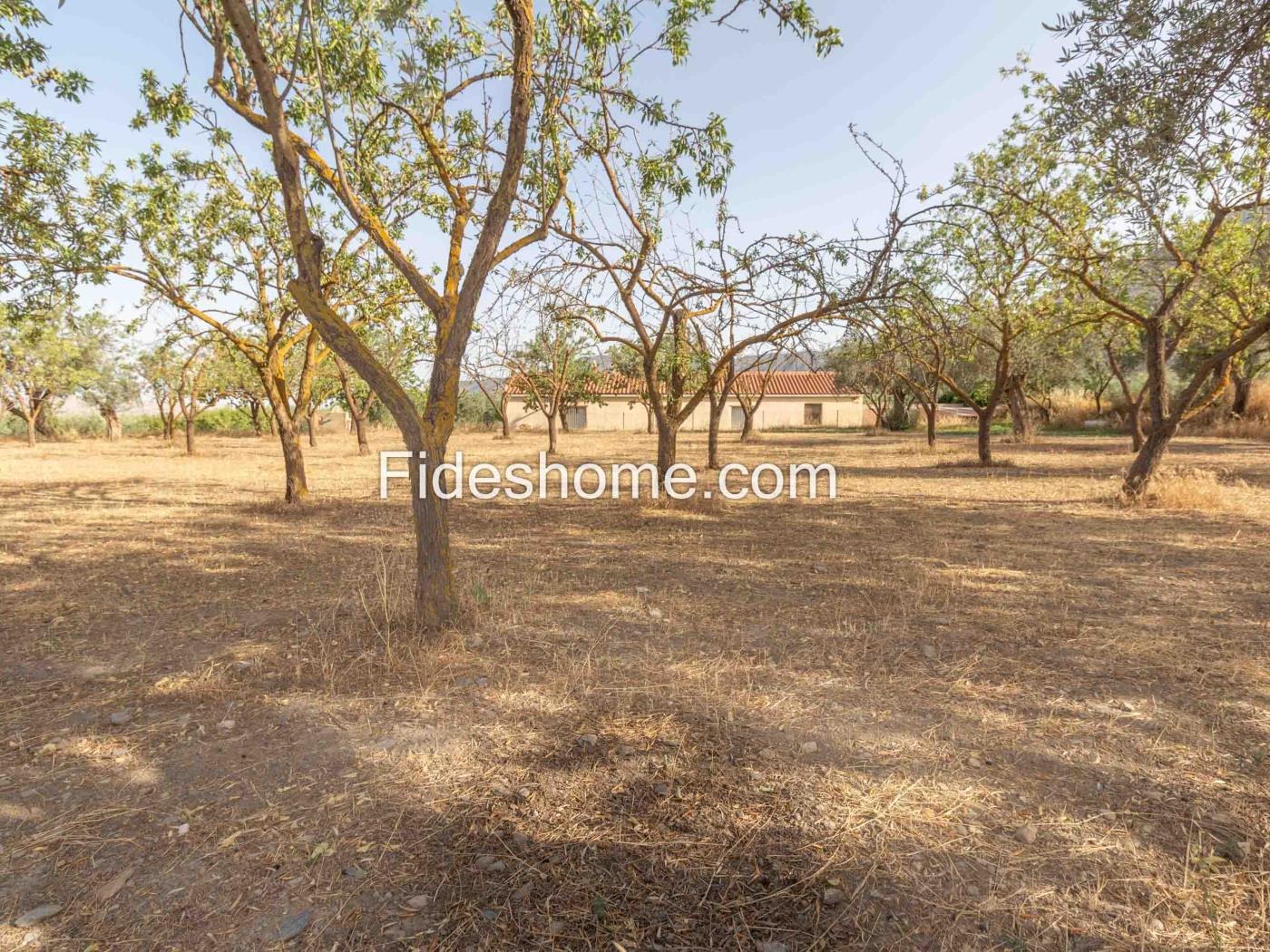 Finca de recreo en la Vega de Nigüelas en Nigüelas