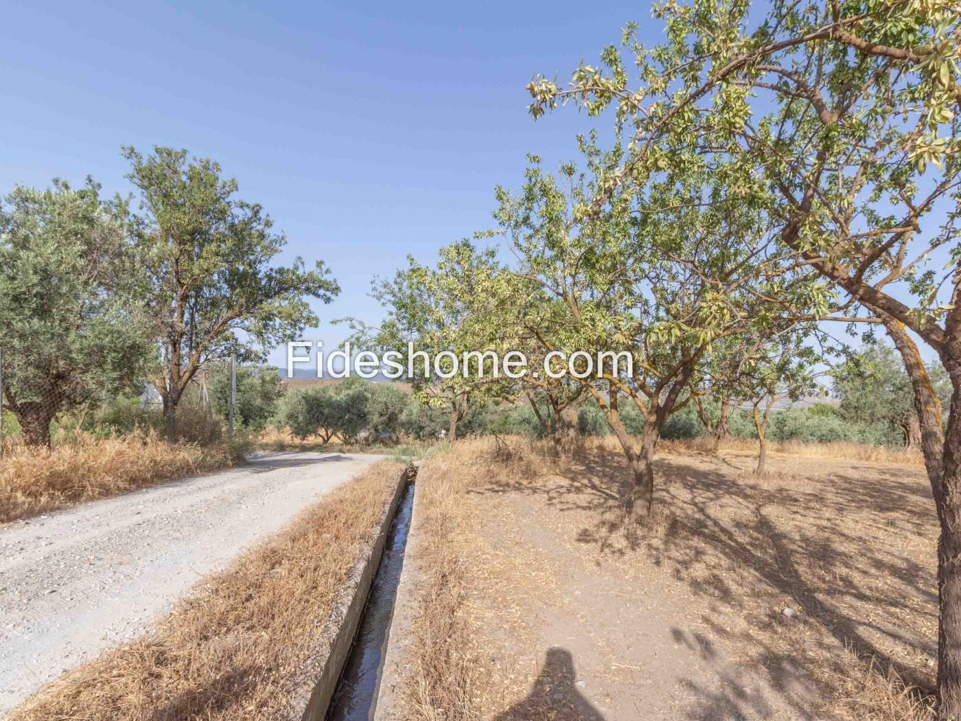 Finca de recreo en la Vega de Nigüelas en Nigüelas