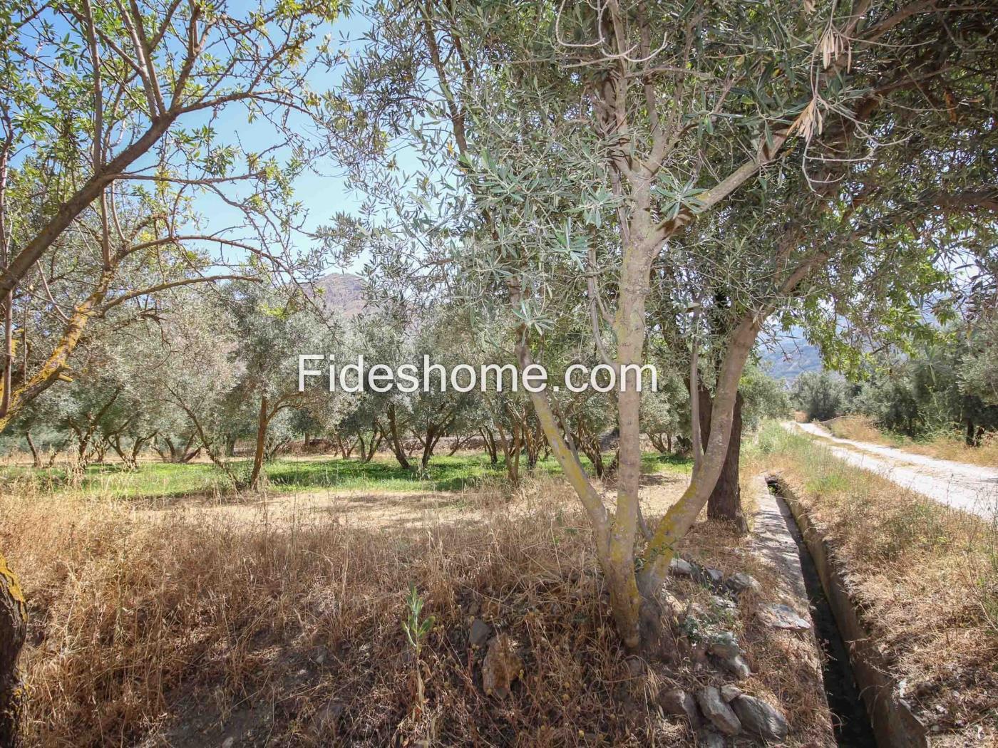 Finca de recreo en la Vega de Nigüelas en Nigüelas