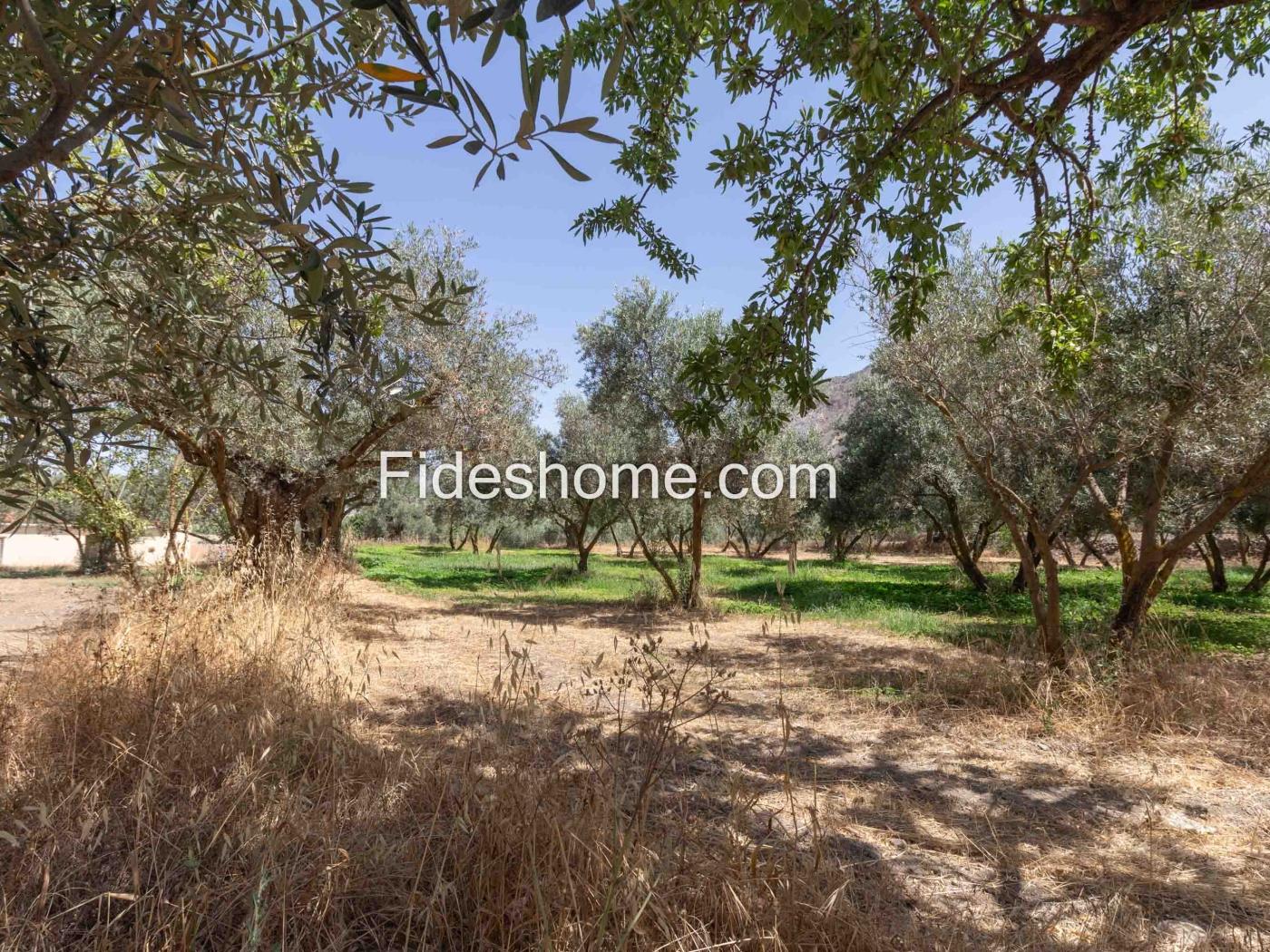 Finca de recreo en la Vega de Nigüelas en Nigüelas