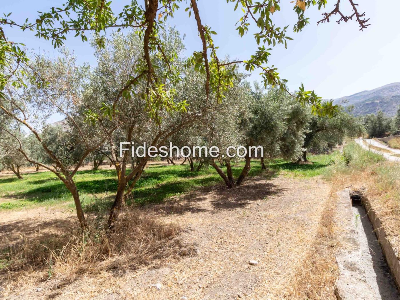 Finca de recreo en la Vega de Nigüelas en Nigüelas