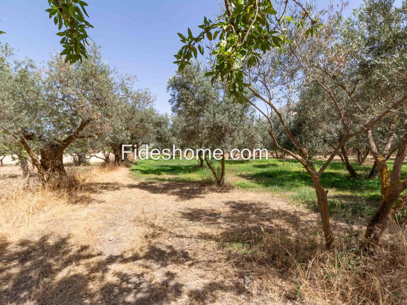 Finca de recreo en la Vega de Nigüelas en Nigüelas