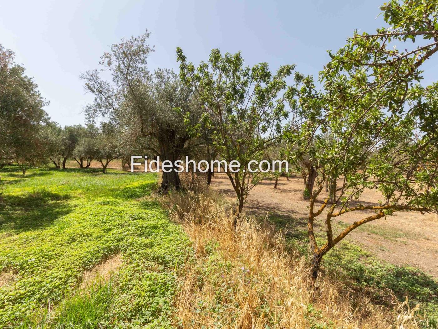 Finca de recreo en la Vega de Nigüelas en Nigüelas