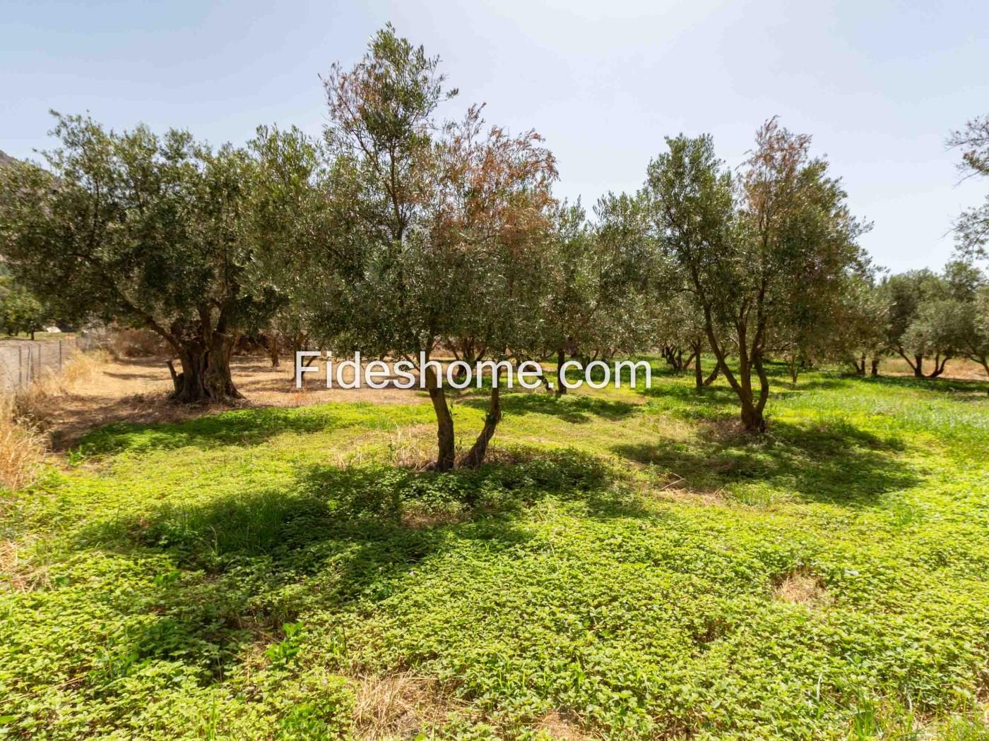 Finca de recreo en la Vega de Nigüelas en Nigüelas