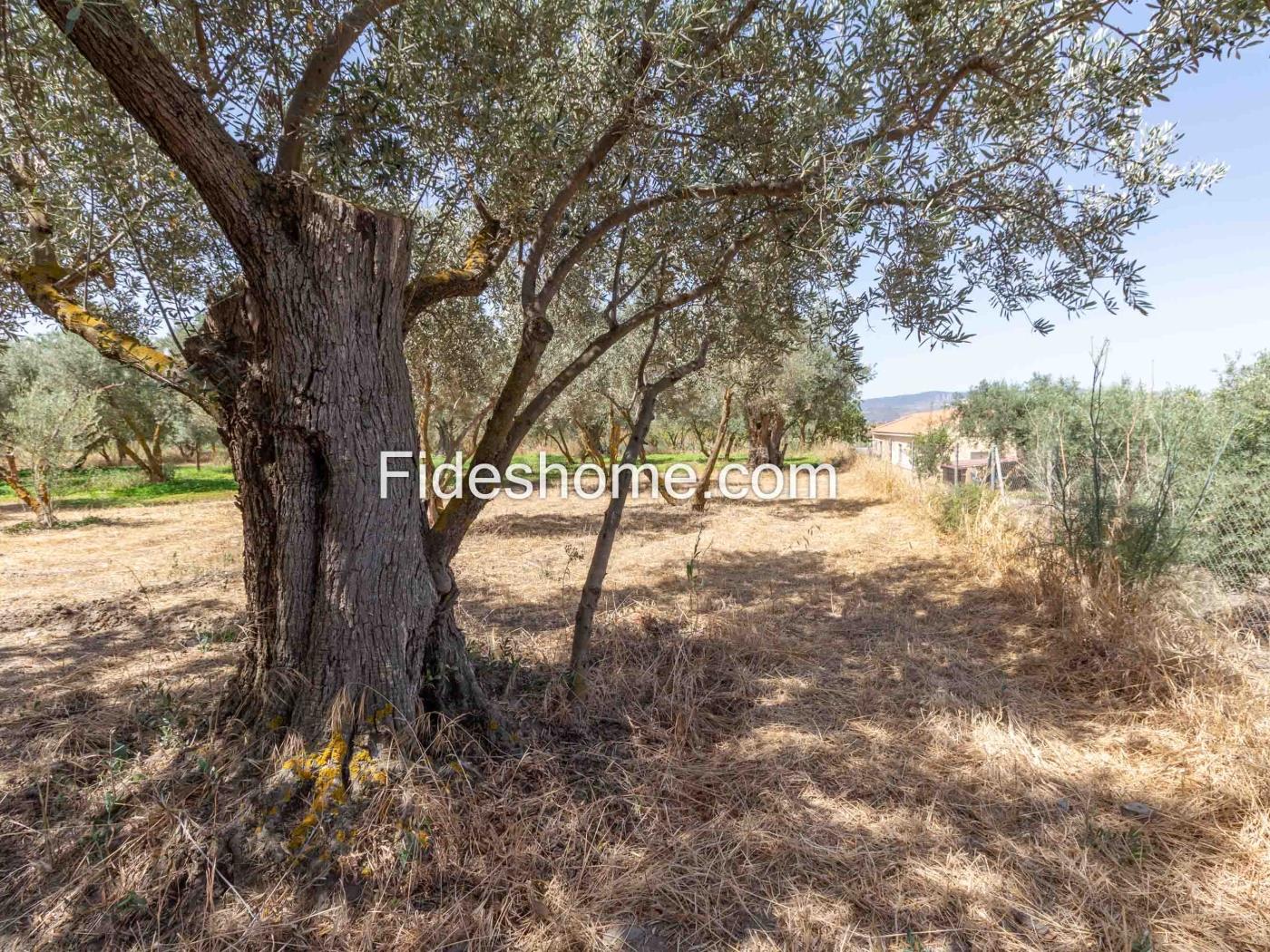 Freizeitgrundstück in der Vega de Nigüelas in Nigüelas