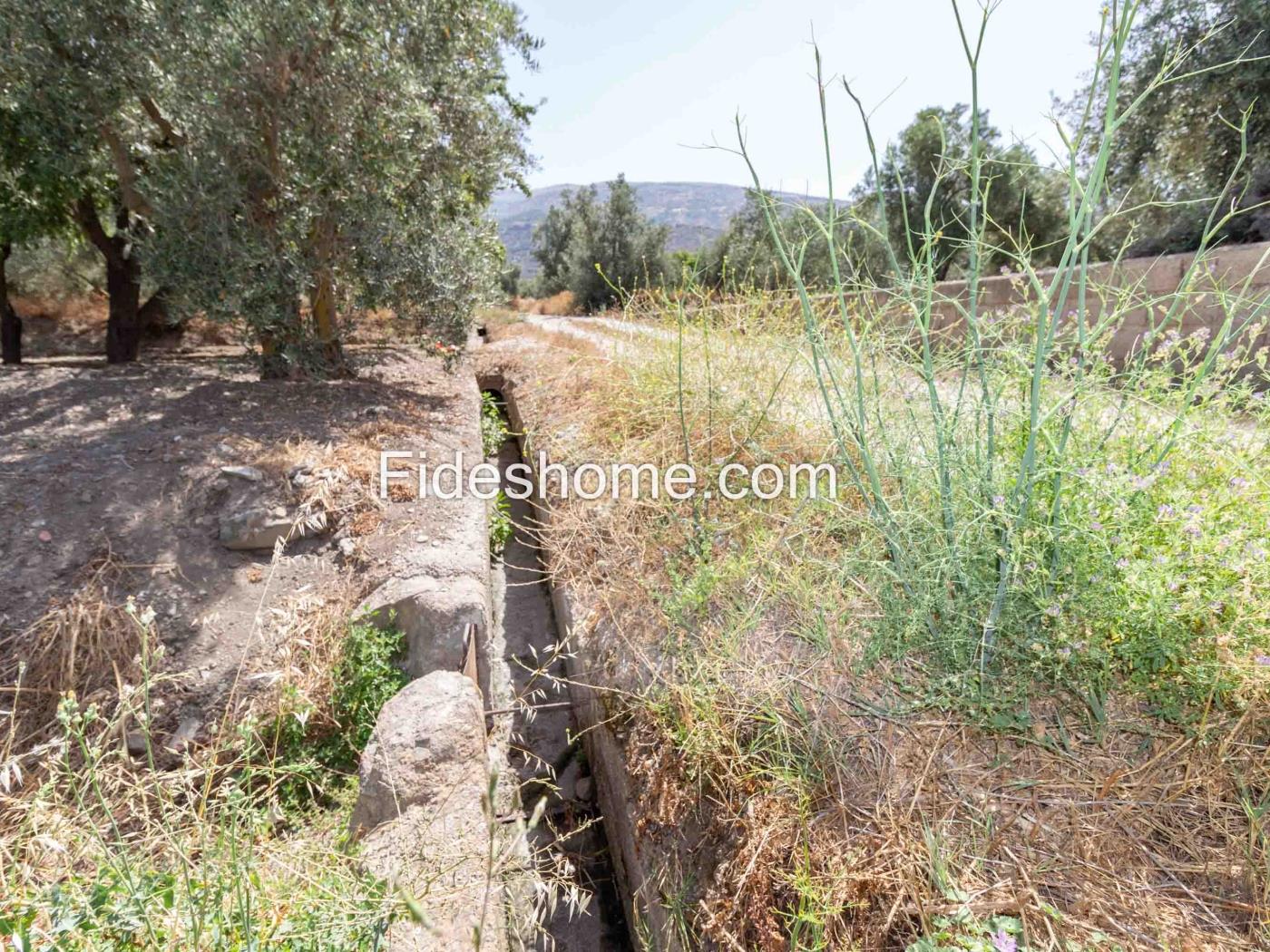 Domaine de loisirs dans la Vega de Nigüelas à Nigüelas