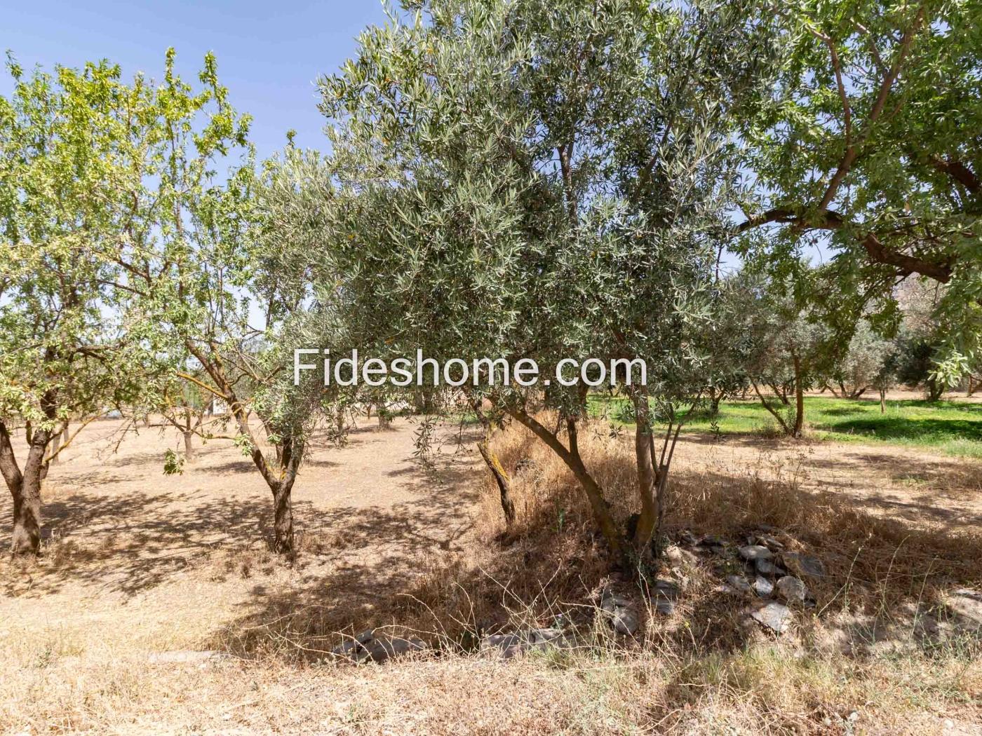 Domaine de loisirs dans la Vega de Nigüelas à Nigüelas