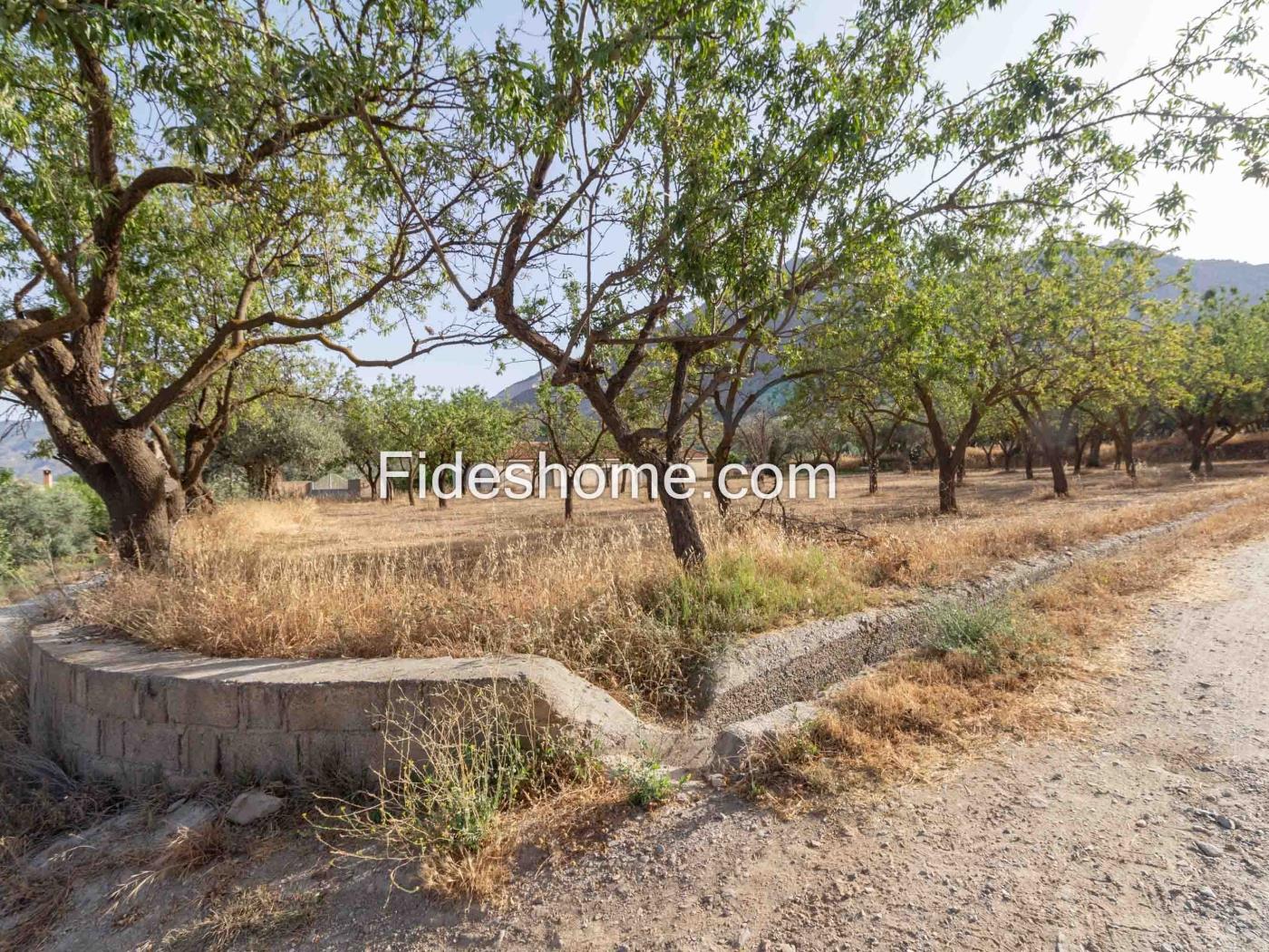 Finca de recreo en la Vega de Nigüelas en Nigüelas