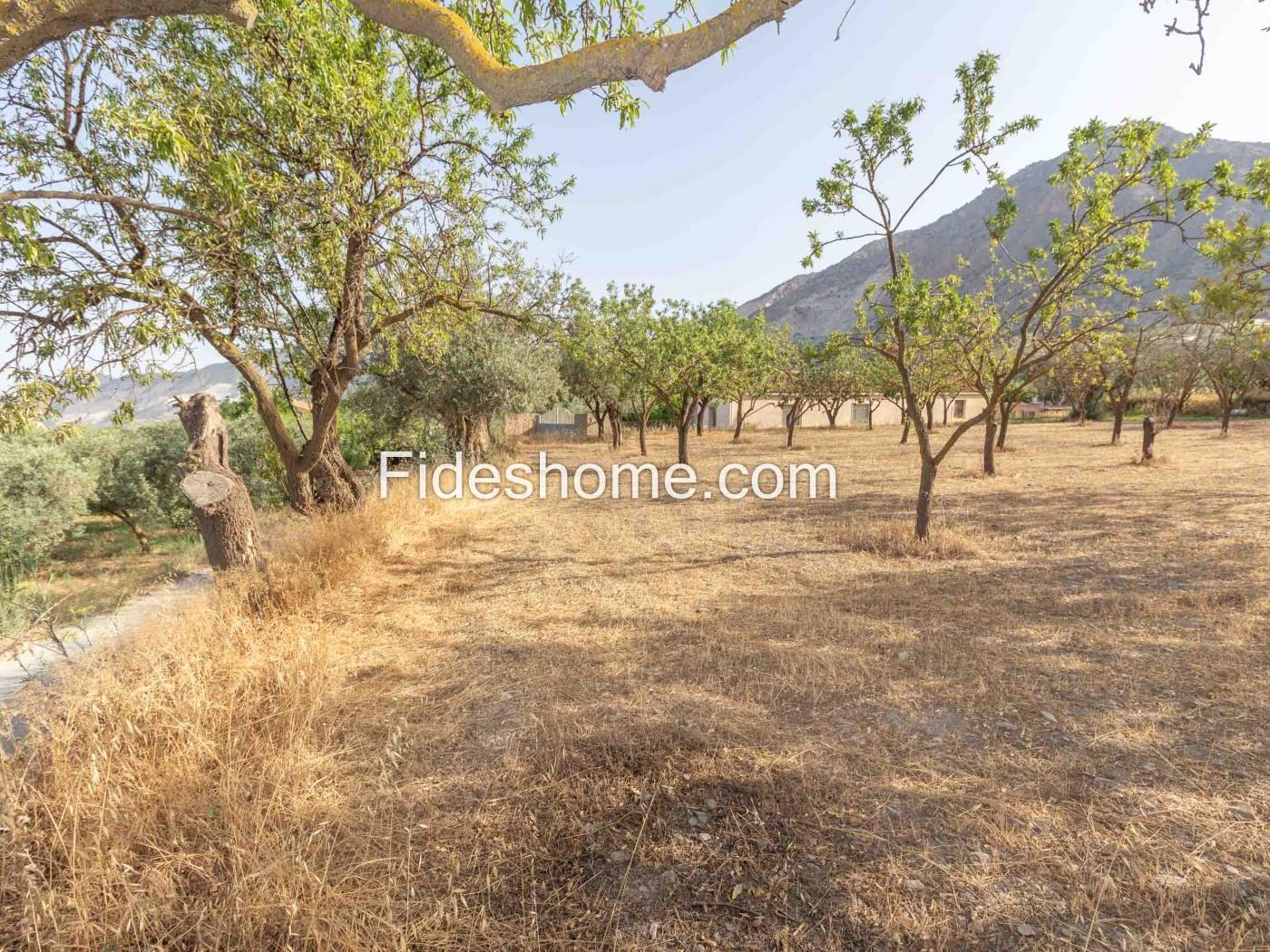 Finca de recreo en la Vega de Nigüelas en Nigüelas