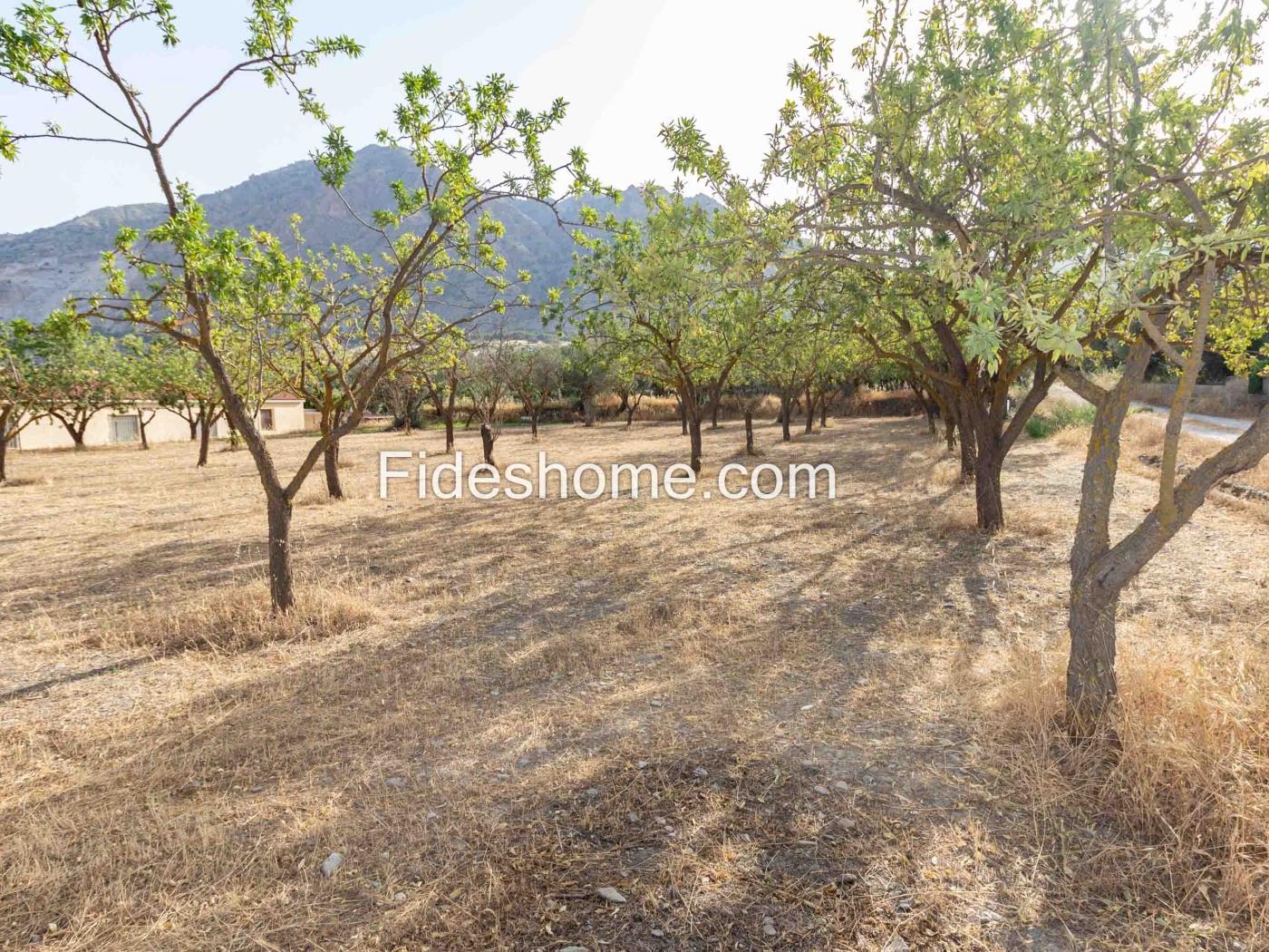 Finca de recreo en la Vega de Nigüelas en Nigüelas