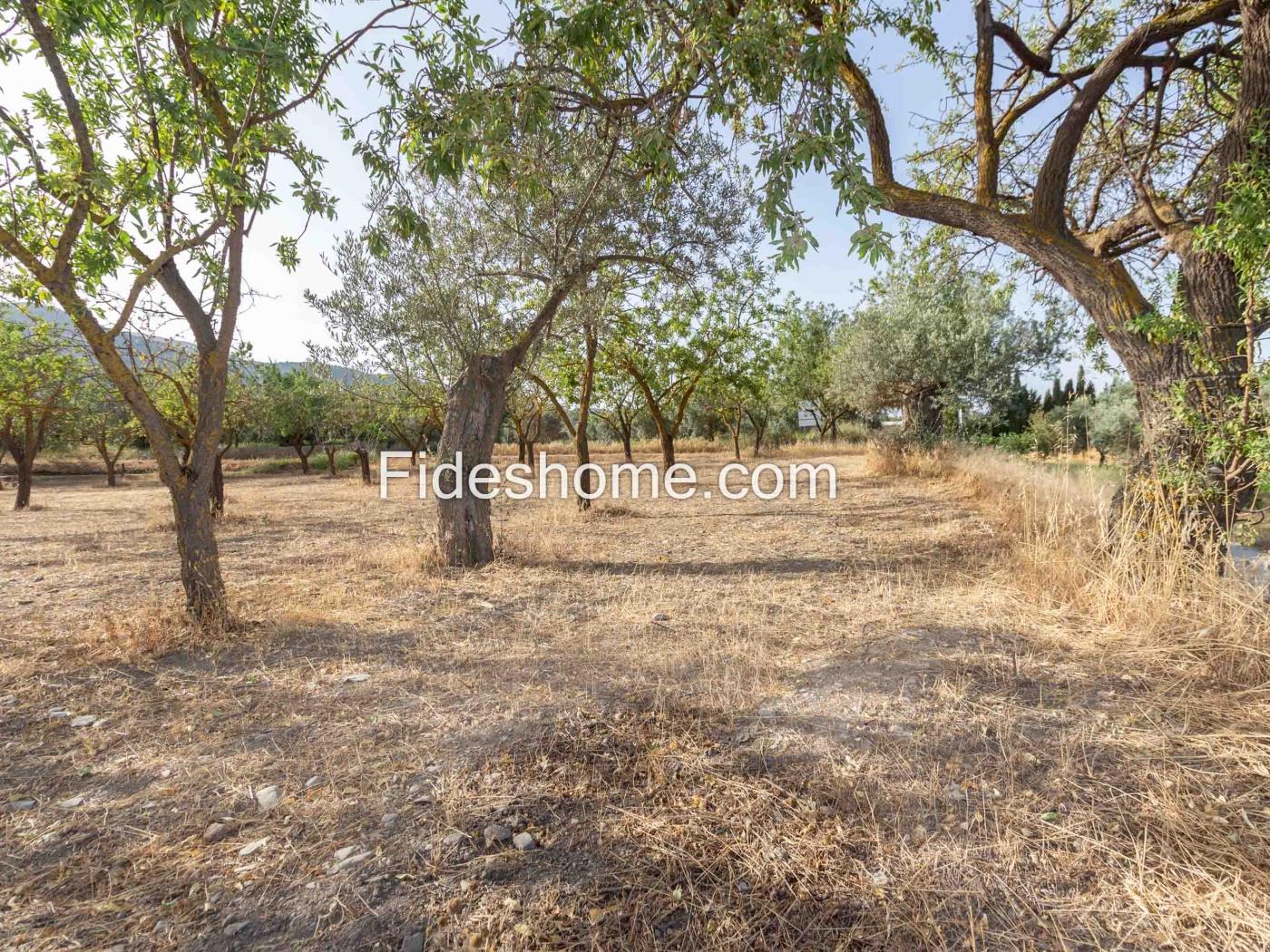 Finca de recreo en la Vega de Nigüelas en Nigüelas