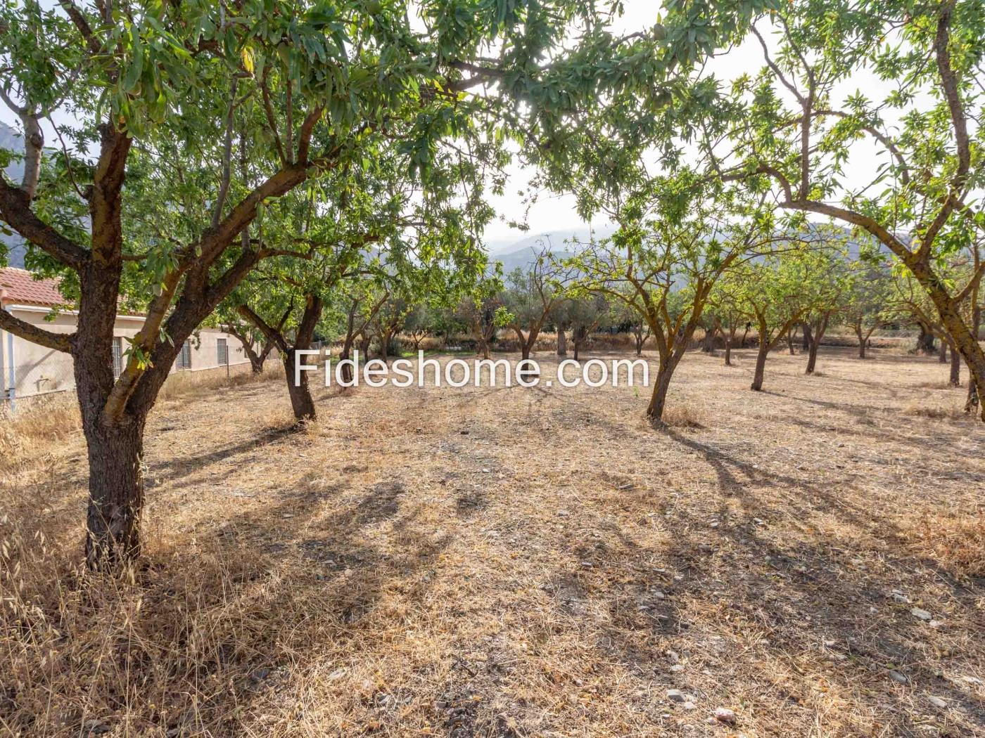 Finca de recreo en la Vega de Nigüelas en Nigüelas