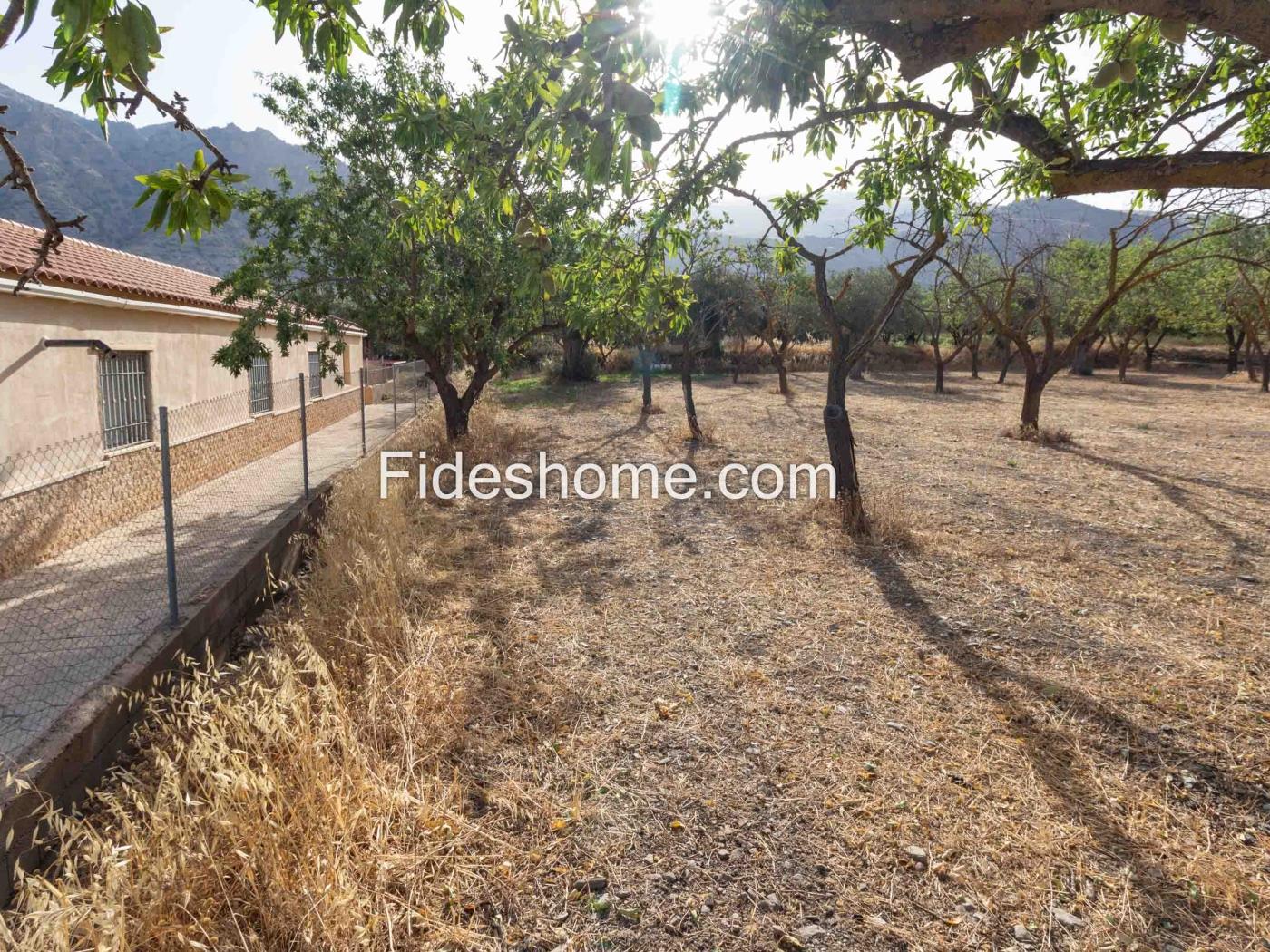 Finca de recreo en la Vega de Nigüelas en Nigüelas