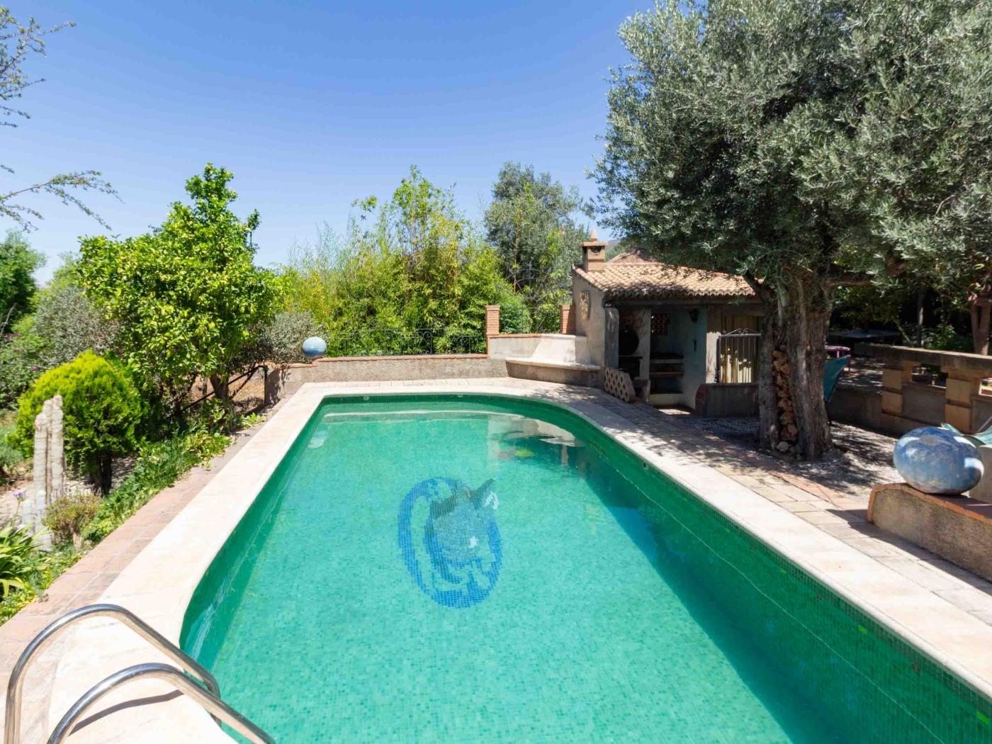 Bonita casa con piscina privada y terraza en Nigüelas